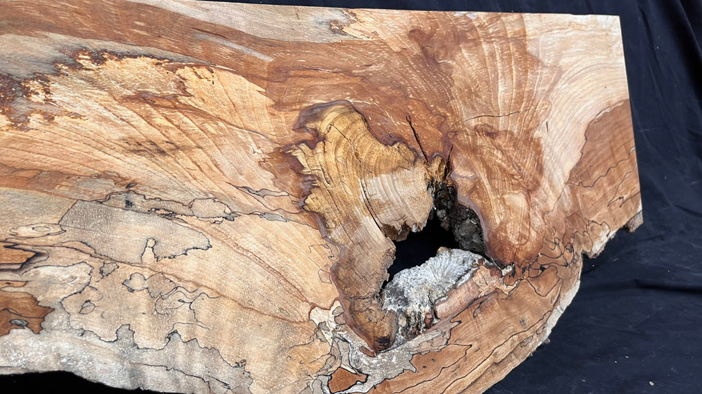 Spalted beech resin blank slab 944 L x 427 W x 50 D mm    (668)