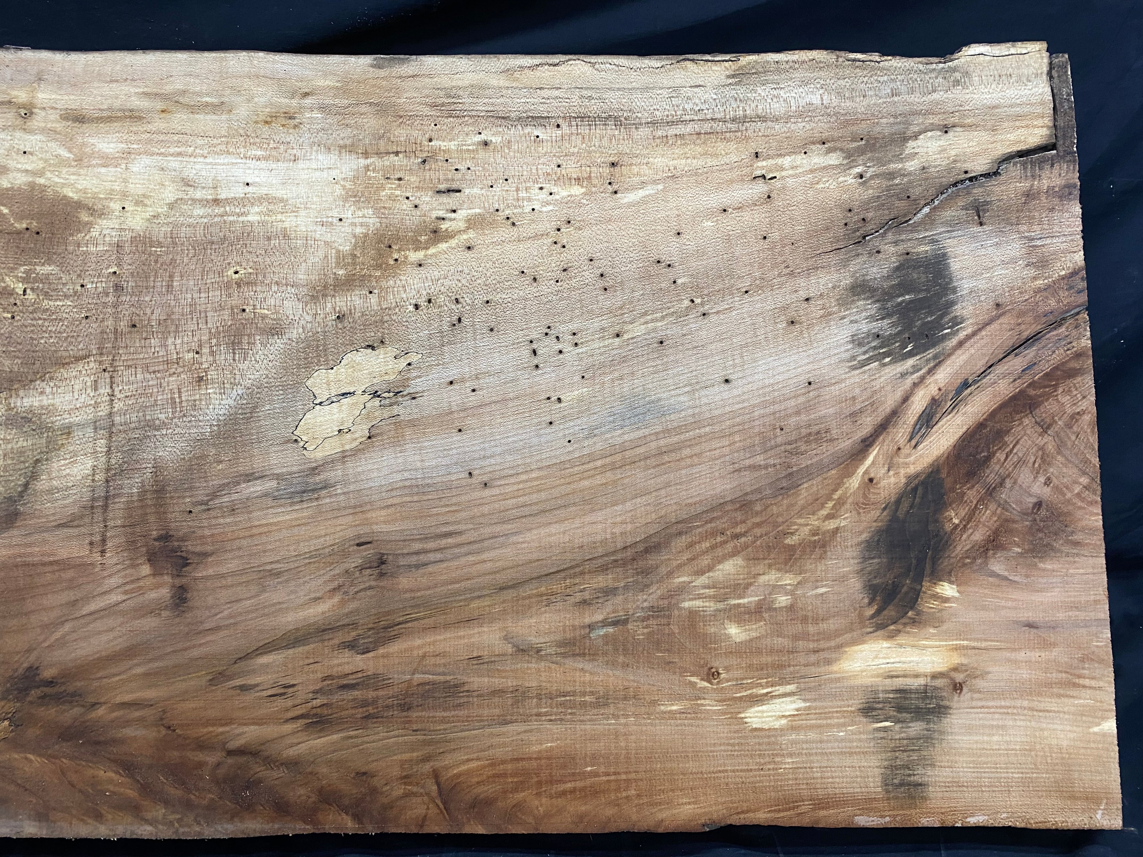 Table top, plank, shelf, craft sycamore wood 1016 L x 519 W x 47 D mm  (358)