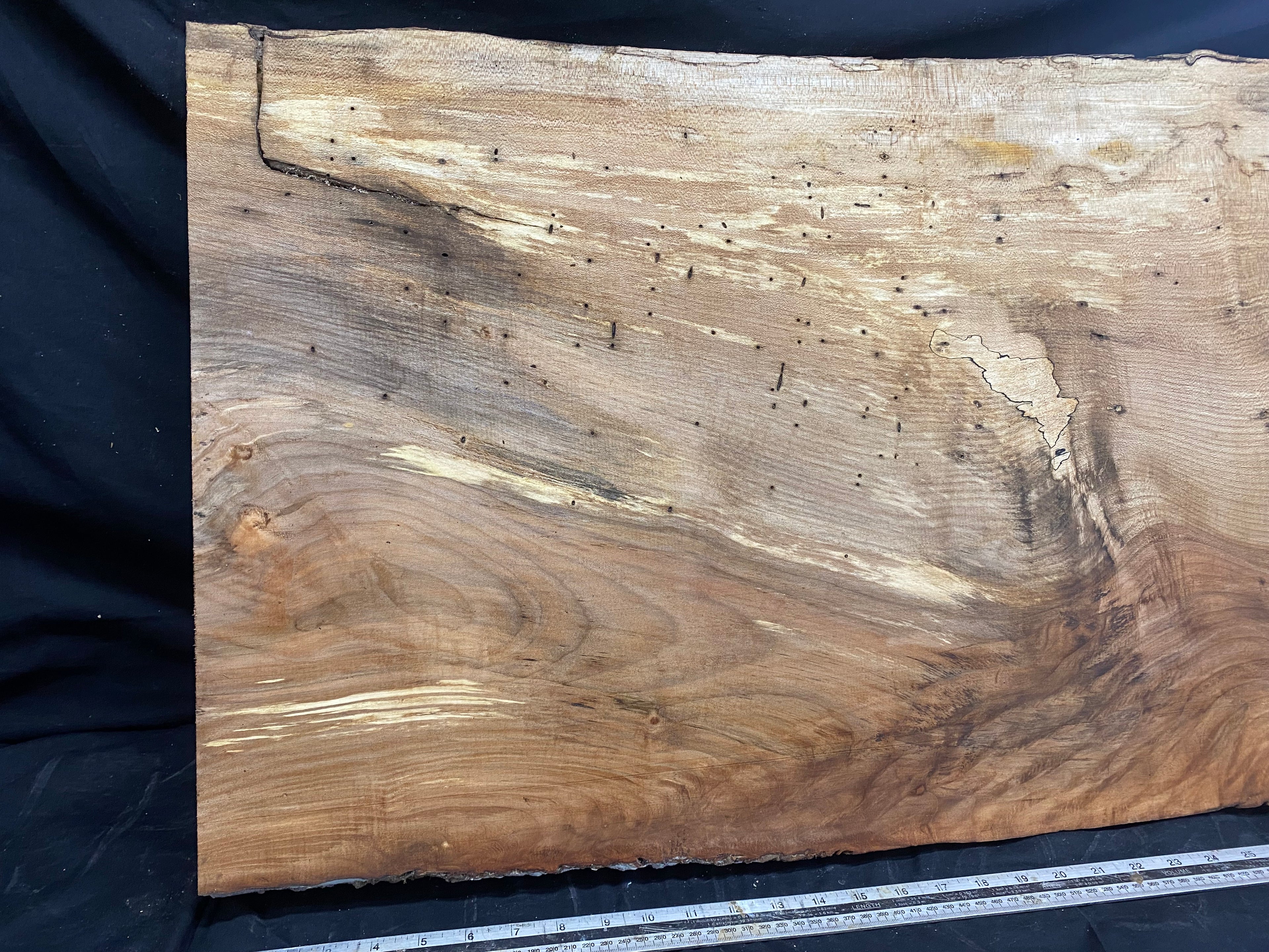 Table top, plank, shelf, craft sycamore wood 1016 L x 519 W x 47 D mm  (358)