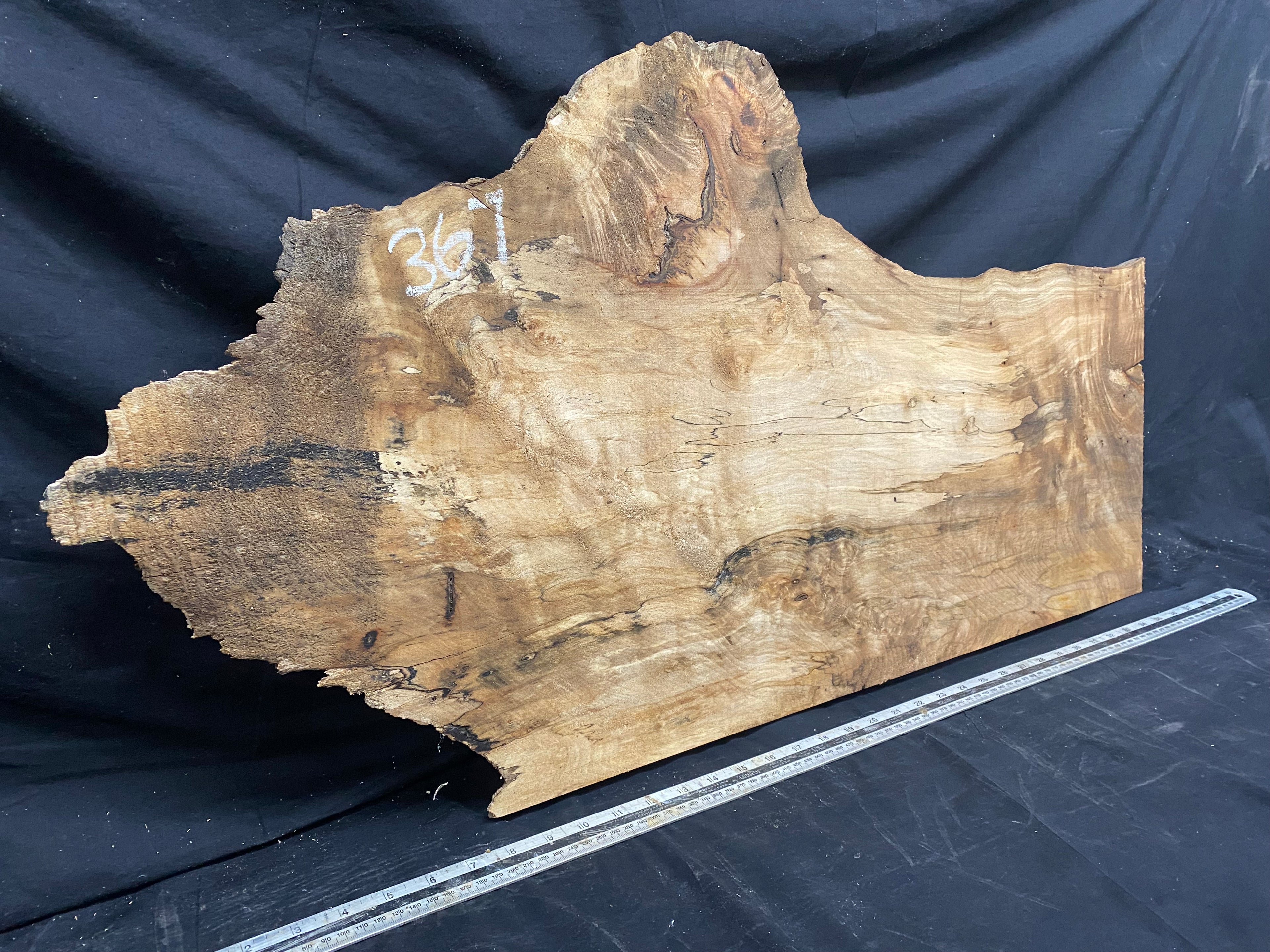 Hardwood plank, shelf, craft,sycamore wood 931 L x 486 W x 48 D mm  (367)
