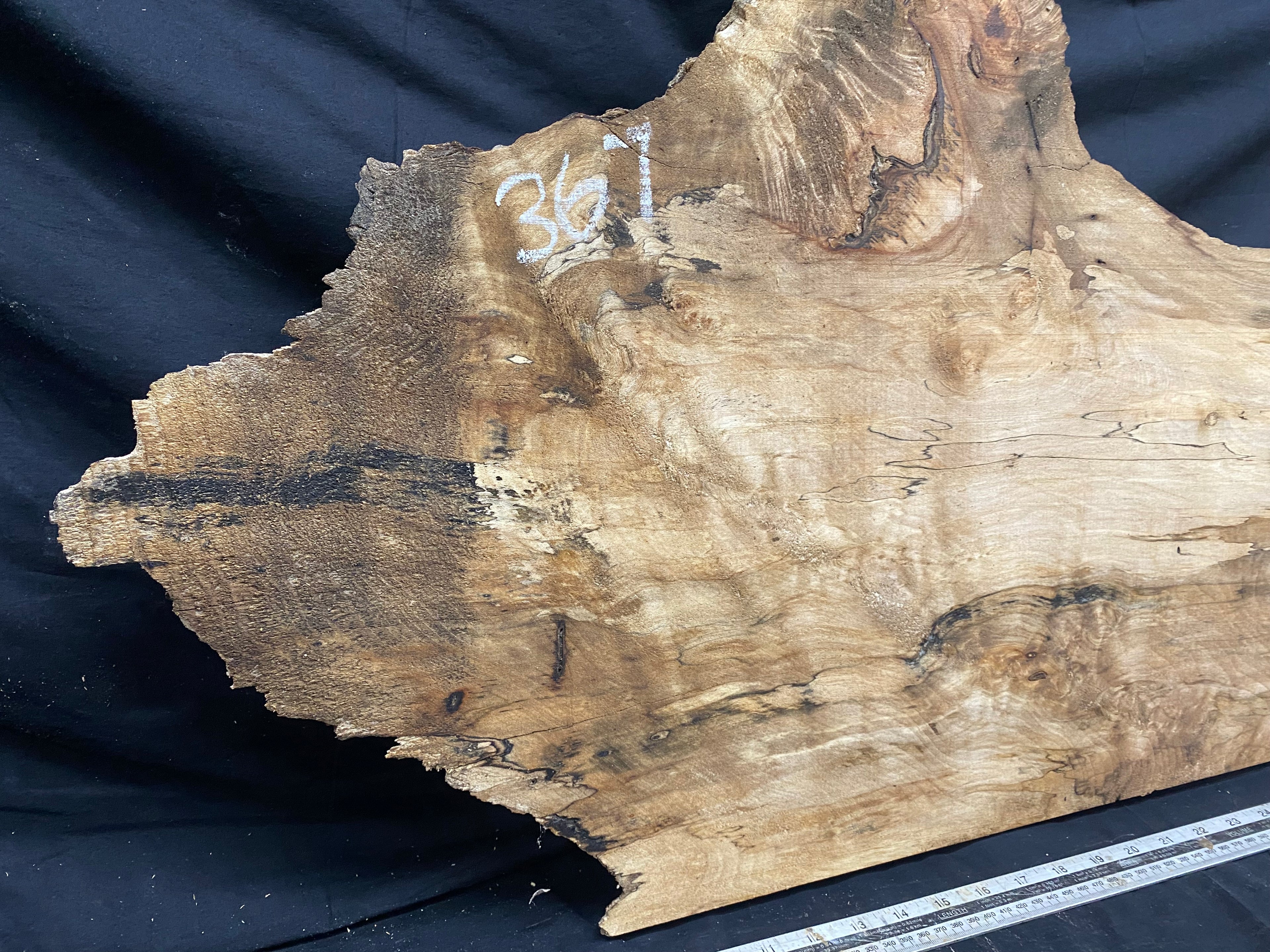 Hardwood plank, shelf, craft,sycamore wood 931 L x 486 W x 48 D mm  (367)