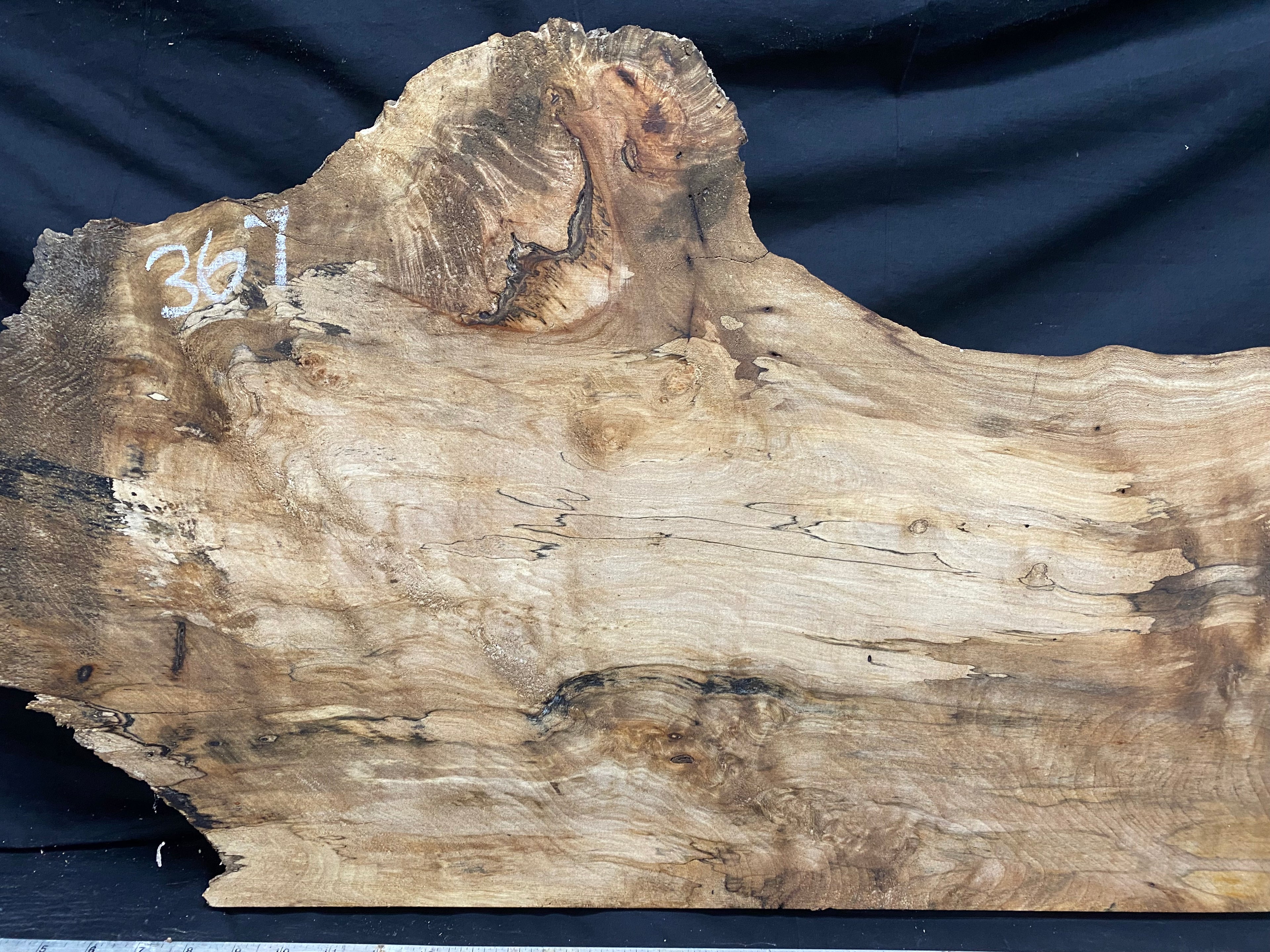 Hardwood plank, shelf, craft,sycamore wood 931 L x 486 W x 48 D mm  (367)