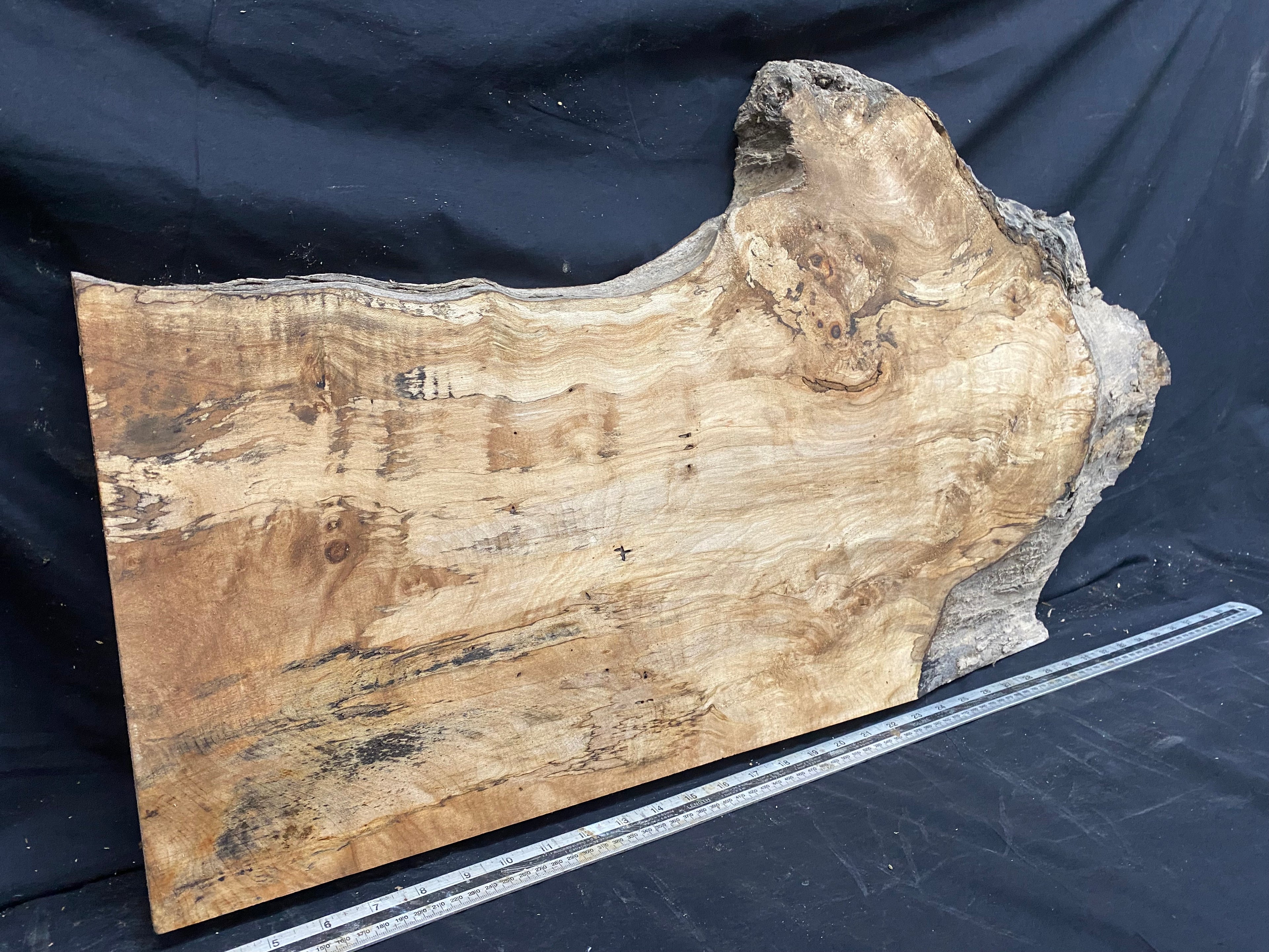 Hardwood plank, shelf, craft,sycamore wood 931 L x 486 W x 48 D mm  (367)