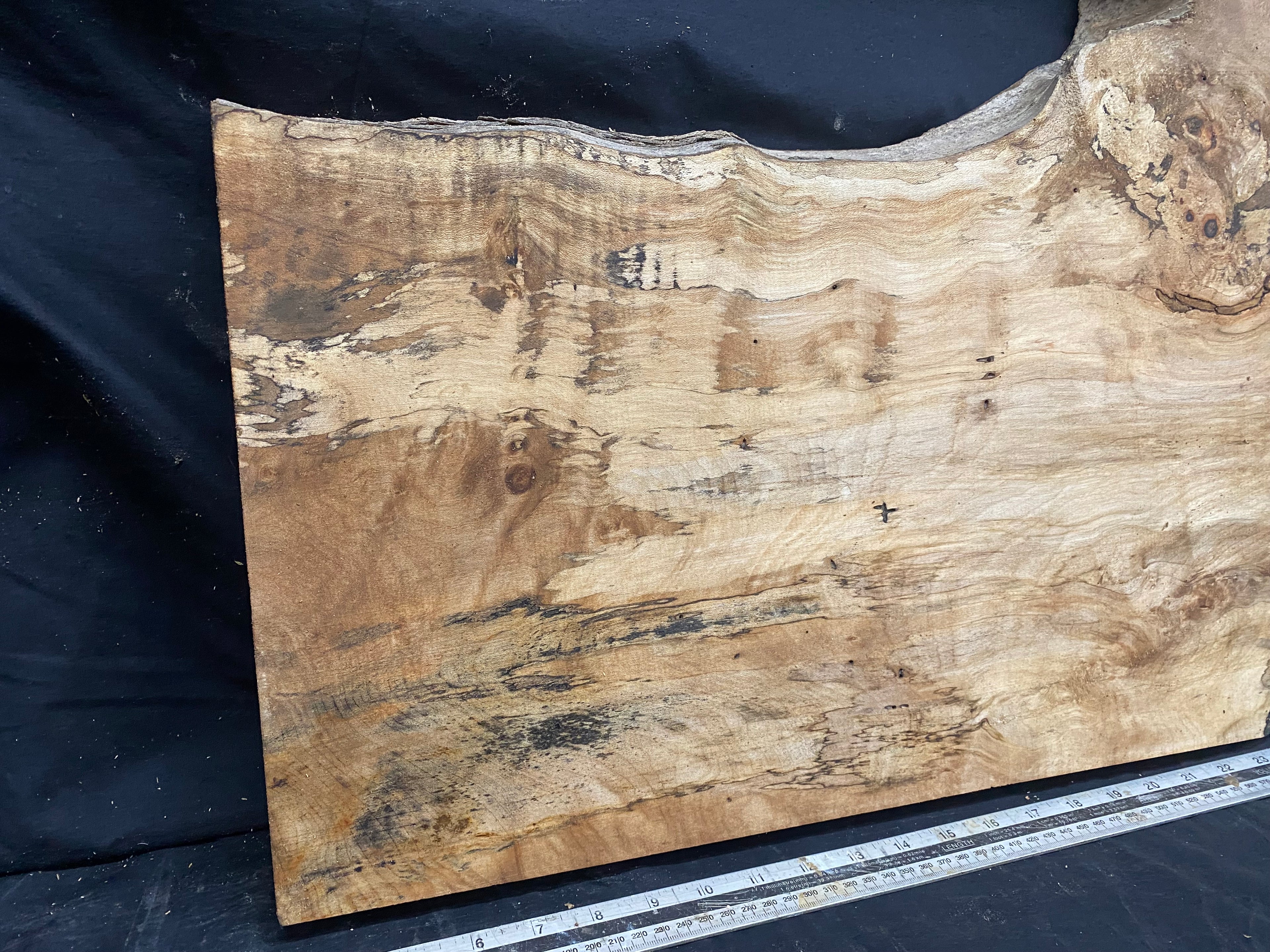 Hardwood plank, shelf, craft,sycamore wood 931 L x 486 W x 48 D mm  (367)