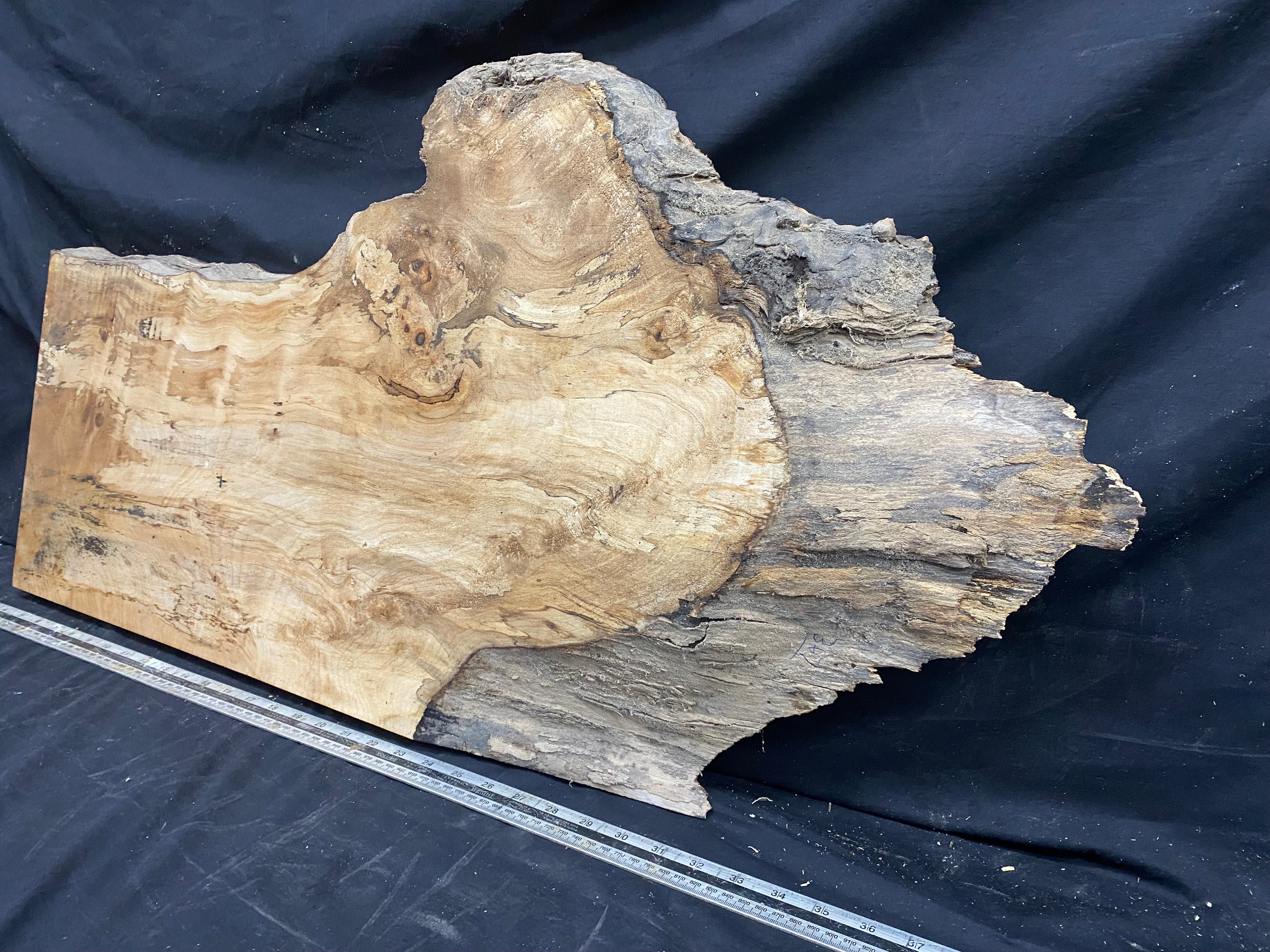 Hardwood plank, shelf, craft,sycamore wood 931 L x 486 W x 48 D mm  (367)