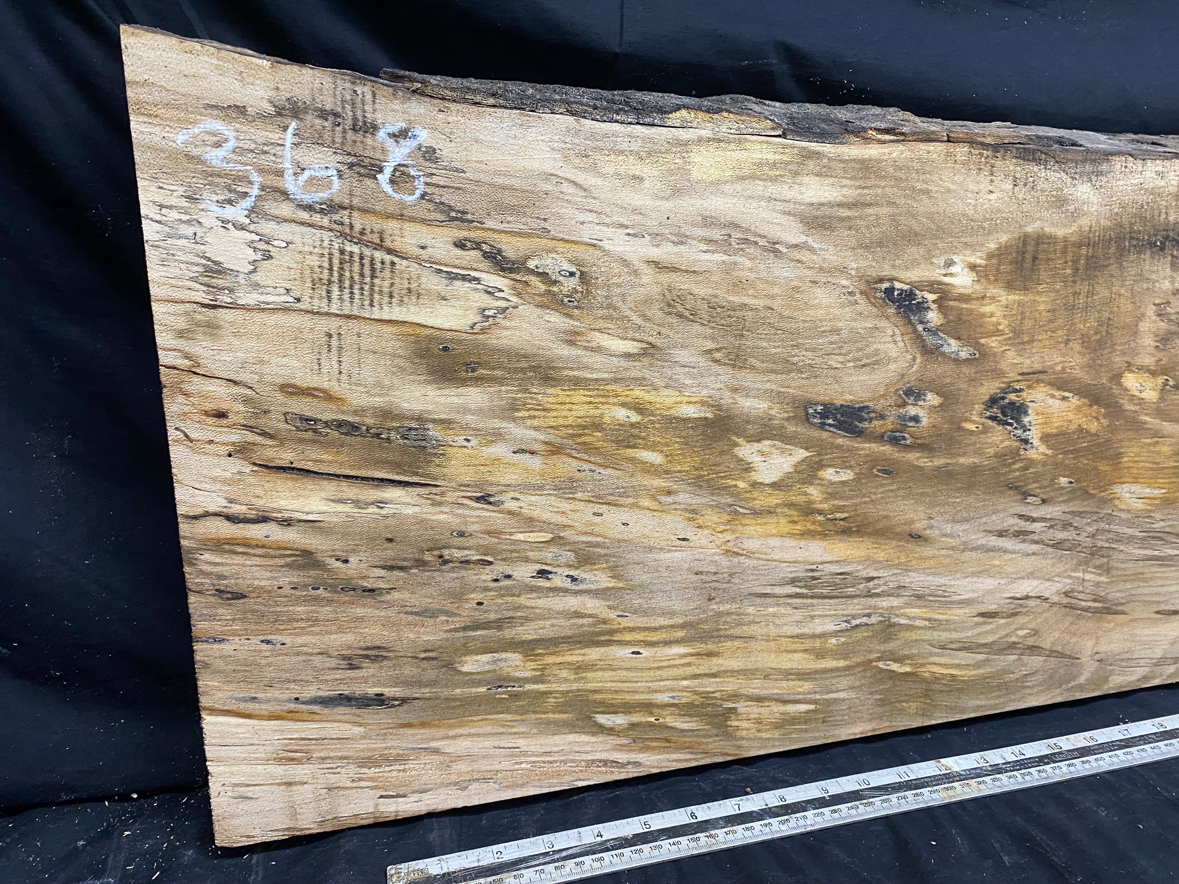 Hardwood plank, shelf, craft,sycamore wood 1232 L x 374 W x 48 D mm  (368)