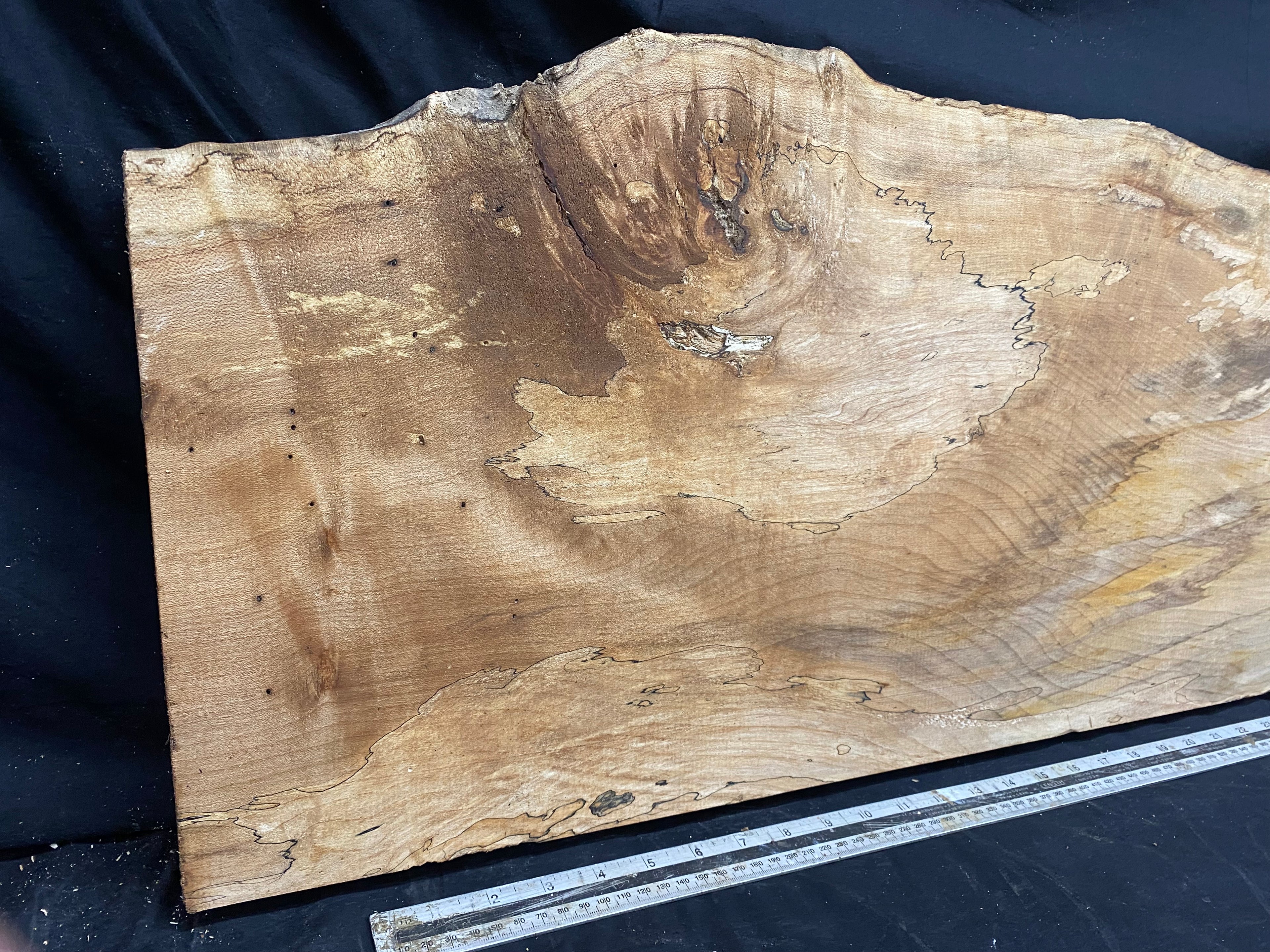 Hardwood plank, shelf, craft,sycamore wood 1232 L x 374 W x 48 D mm  (368)