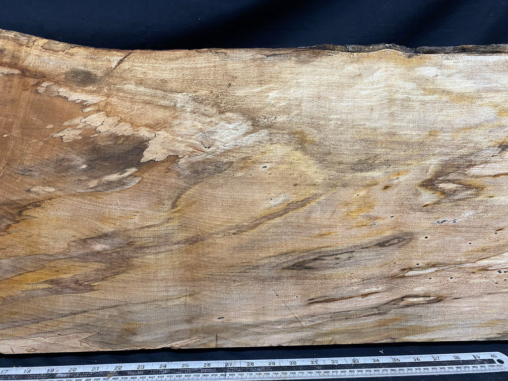 Hardwood plank, shelf, craft,sycamore wood 1232 L x 374 W x 48 D mm  (368)