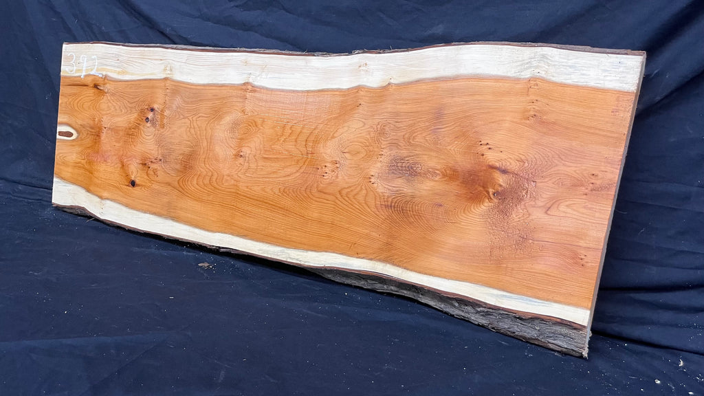 Hardwood yew, slab, resin table blank  986 L x 348 W x 40 D mm    (392)