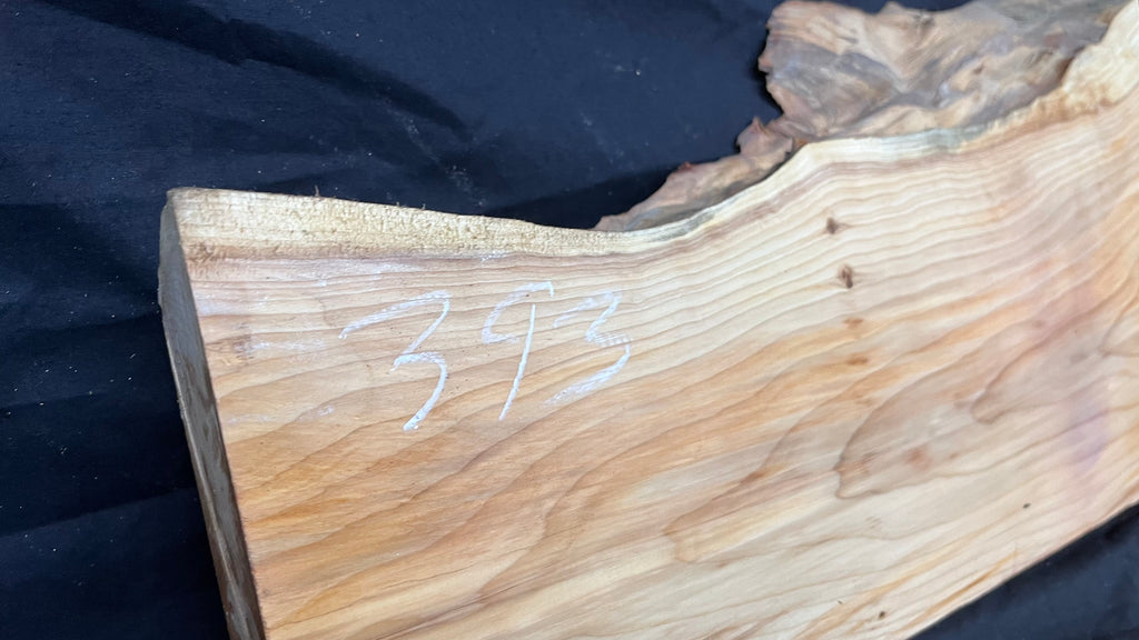 Hardwood yew, slab, resin table blank  434 L x 249 W x 51 D mm    (393)