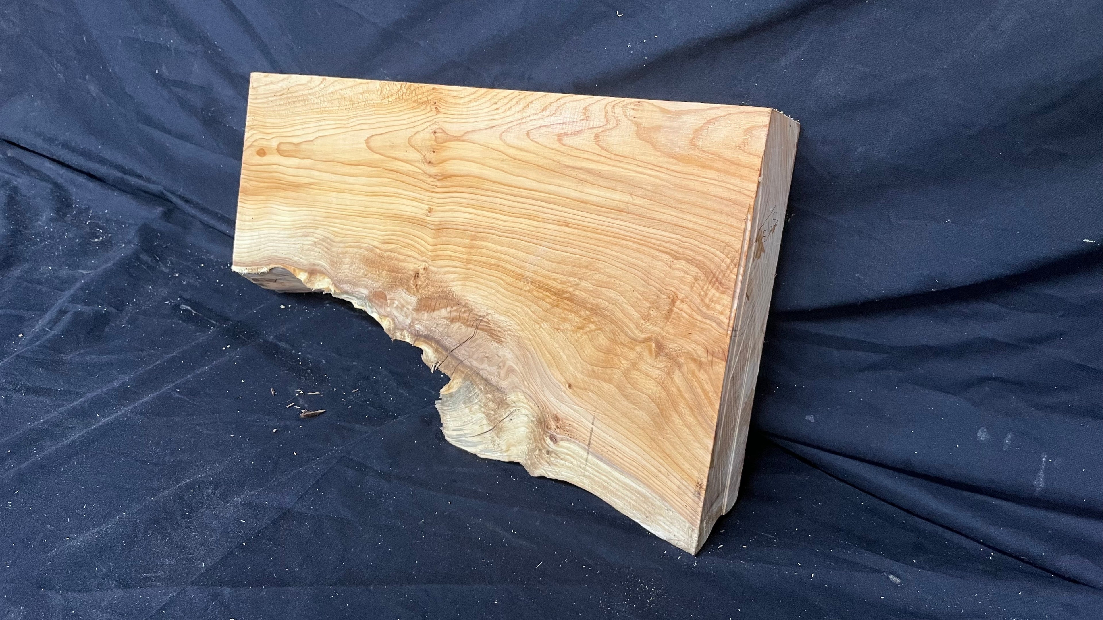 Hardwood yew, slab, resin table blank  434 L x 249 W x 51 D mm    (393)