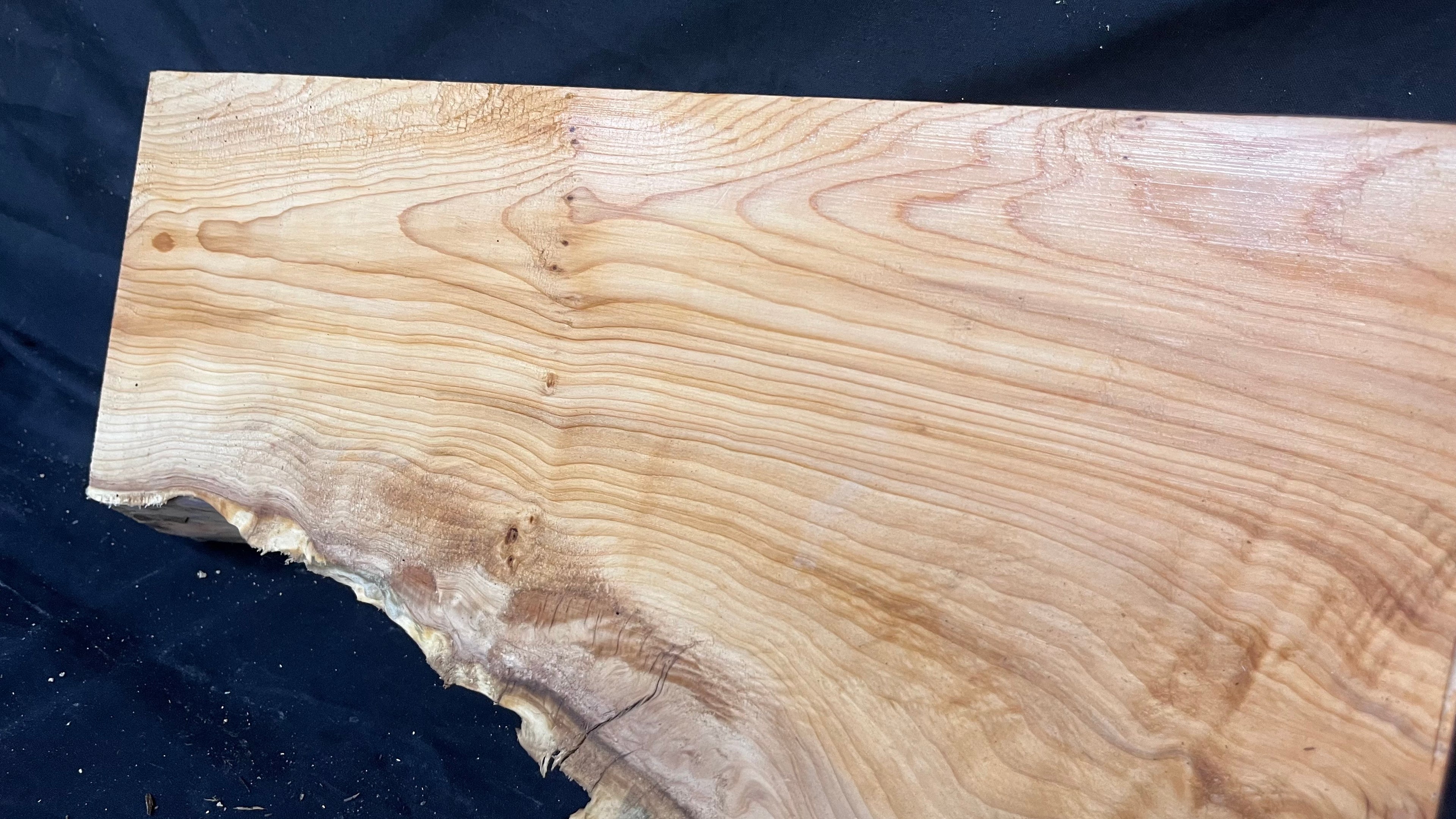 Hardwood yew, slab, resin table blank  434 L x 249 W x 51 D mm    (393)
