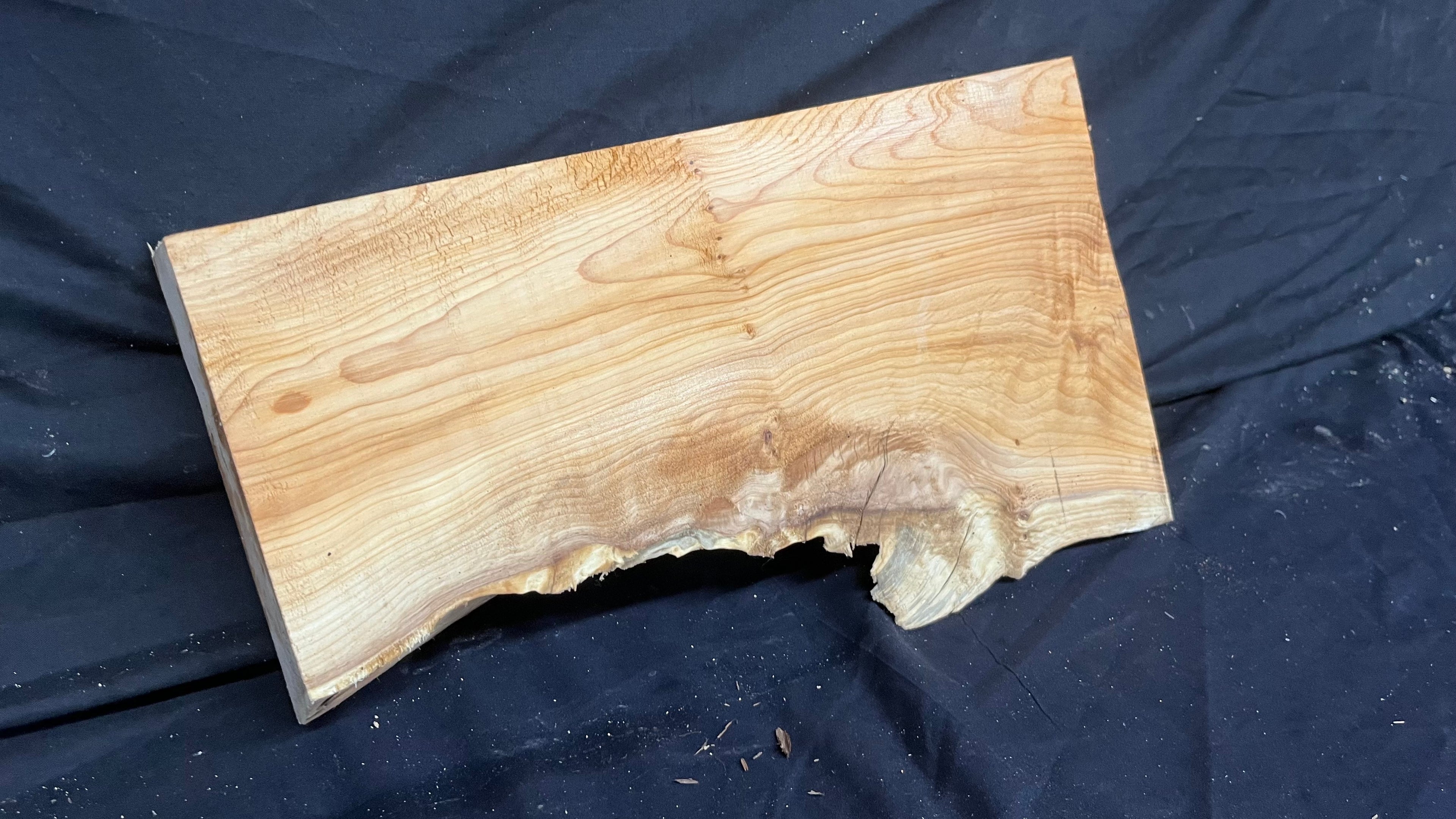 Hardwood yew, slab, resin table blank  434 L x 249 W x 51 D mm    (393)