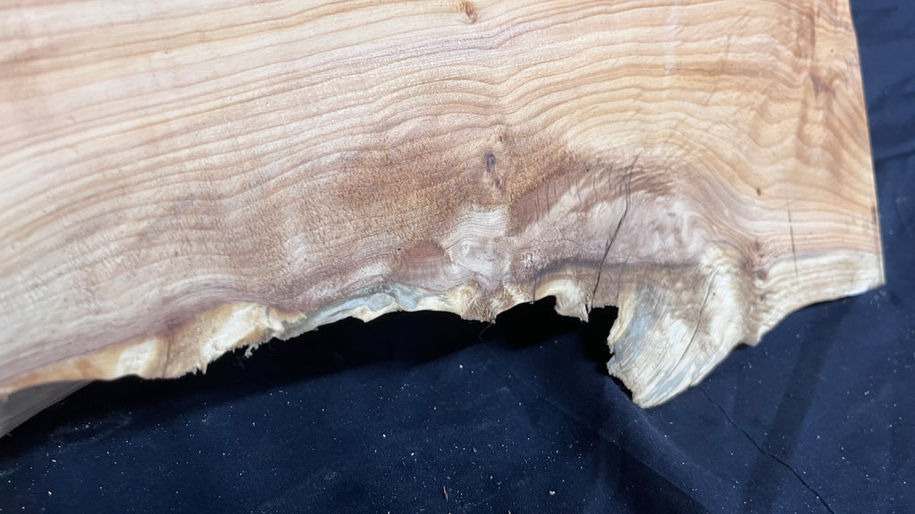 Hardwood yew, slab, resin table blank  434 L x 249 W x 51 D mm    (393)