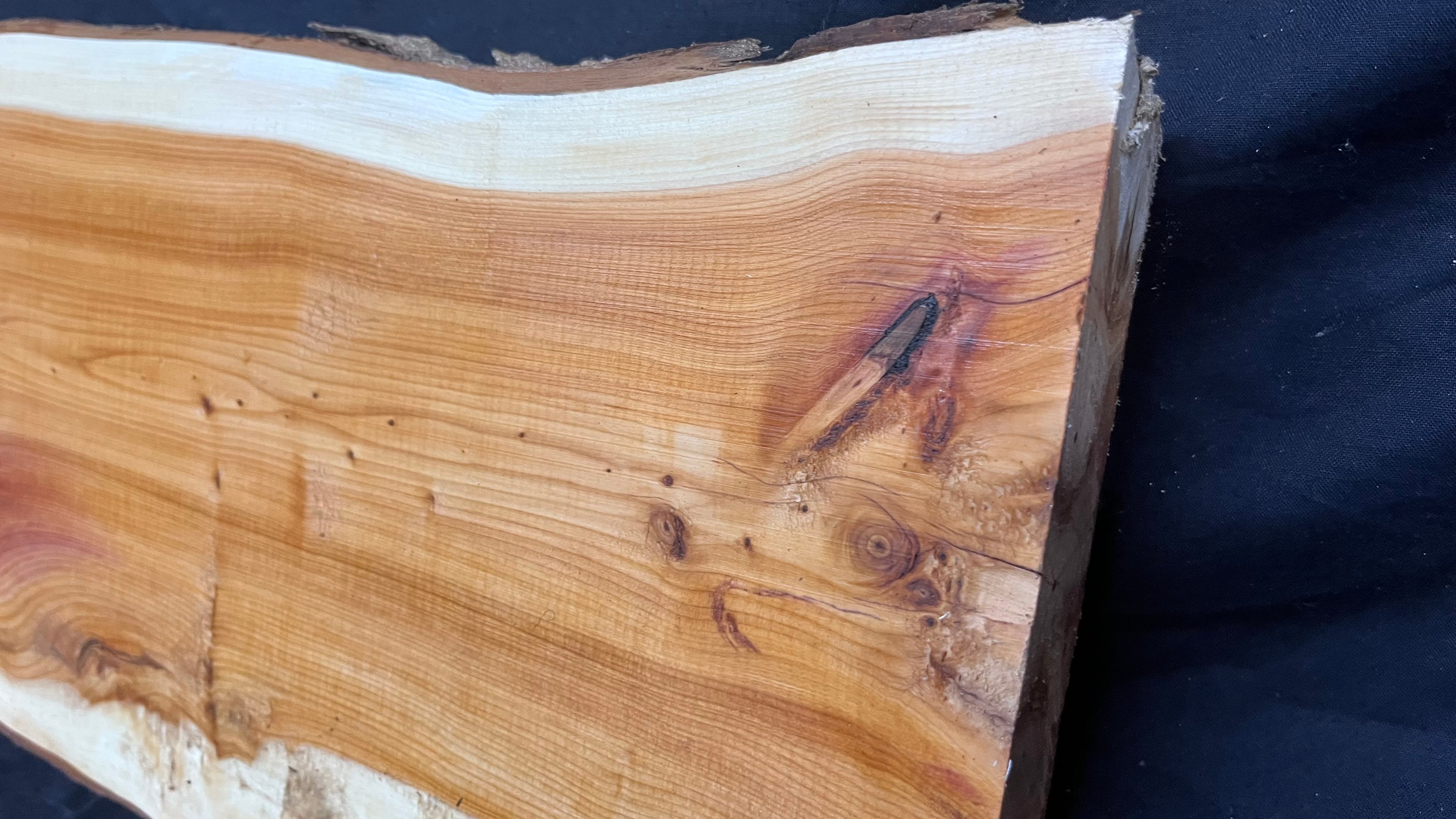 Hardwood yew, slab, resin table blank  814 L x 218 W x 28 D mm    (394)