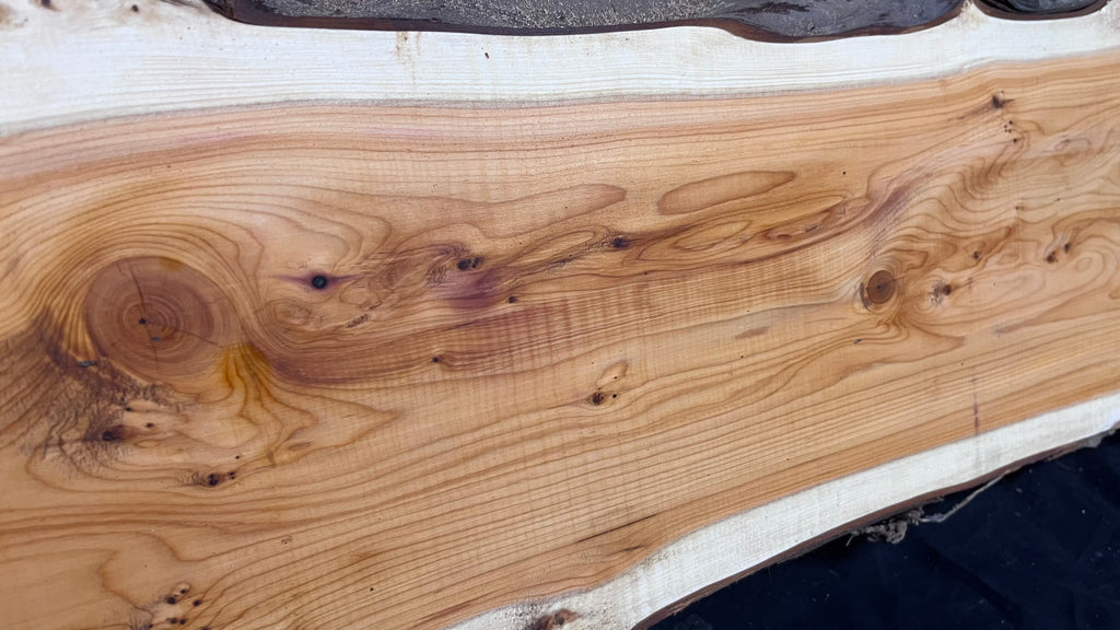 Hardwood yew, slab, resin table blank  1224 L x 317 W x 34 D mm    (398)