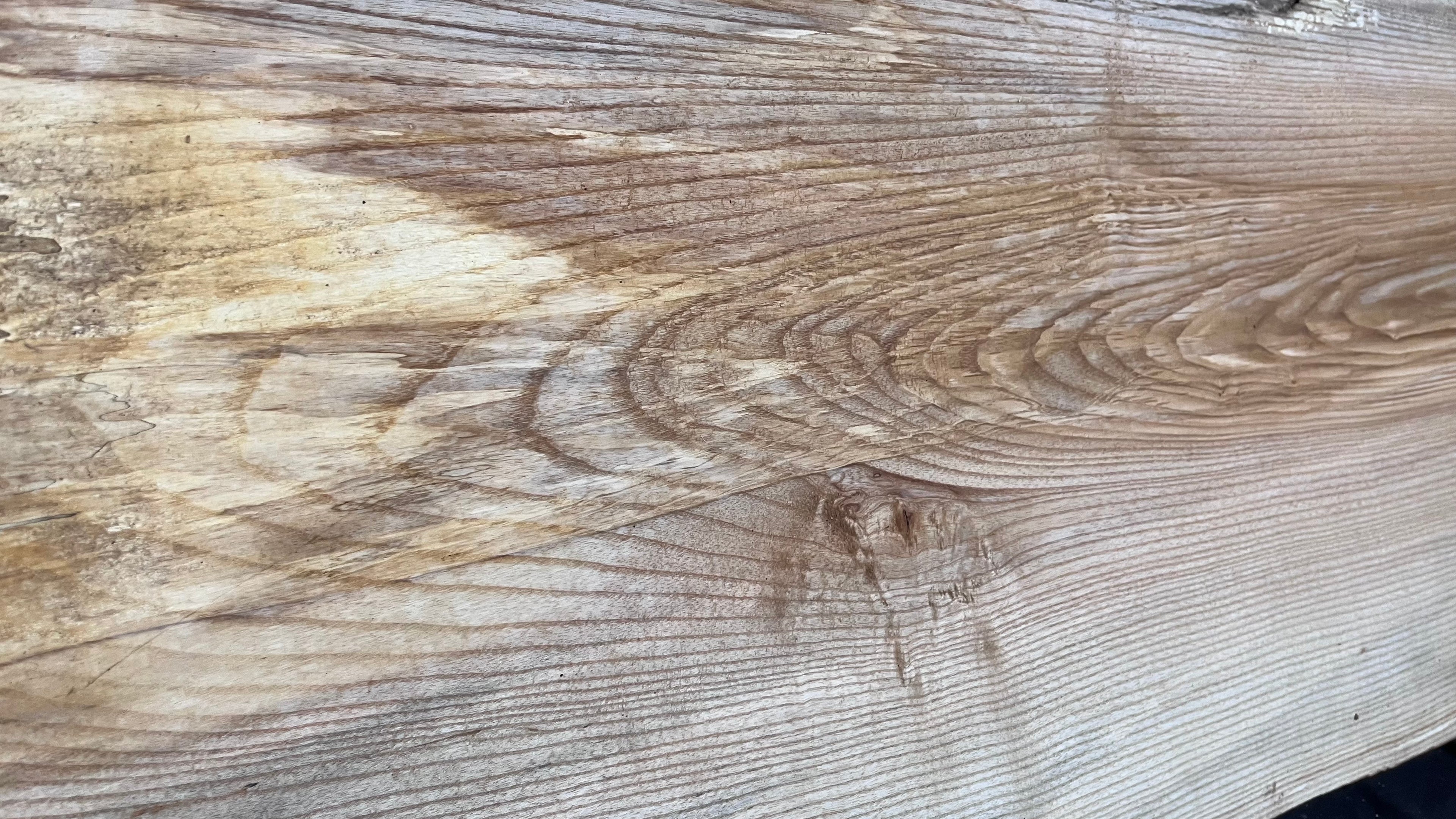 Hardwood window sill, ash timber plank 1188 L x 485 W x 35 D mm     (400)