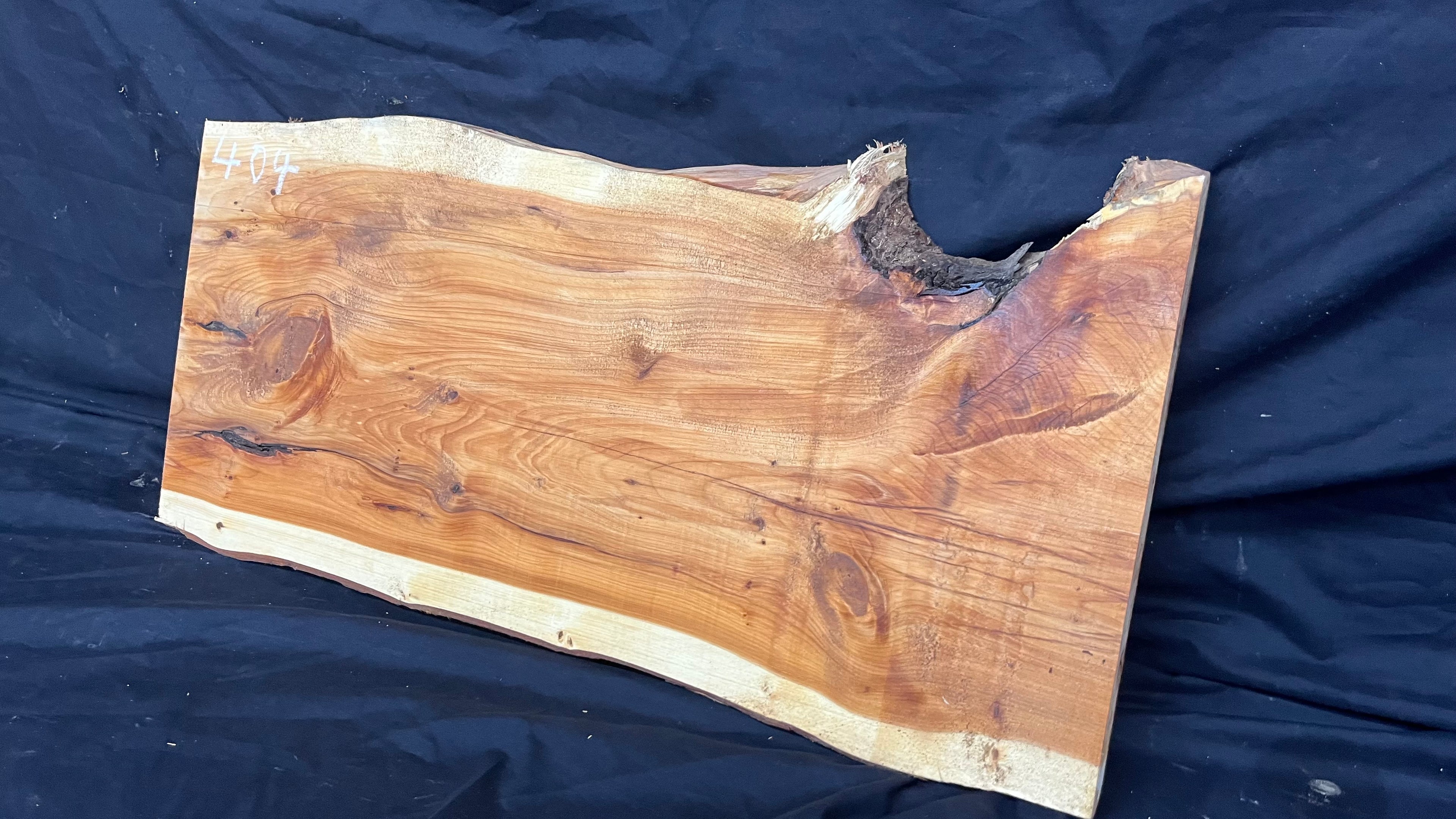 Hardwood yew, slab, board plank  688 L x 330 W x 31 D mm    (404)