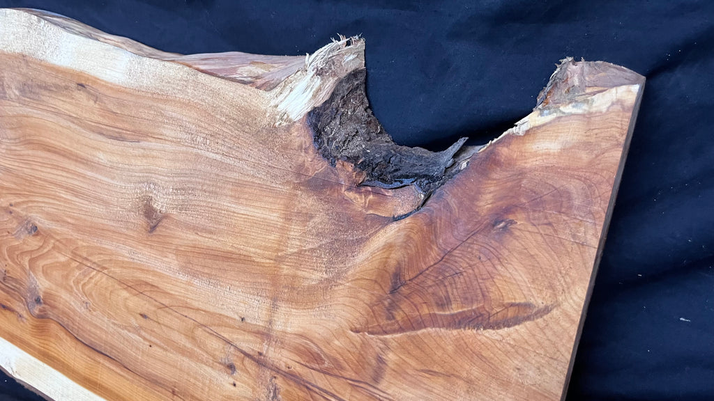 Hardwood yew, slab, board plank  688 L x 330 W x 31 D mm    (404)