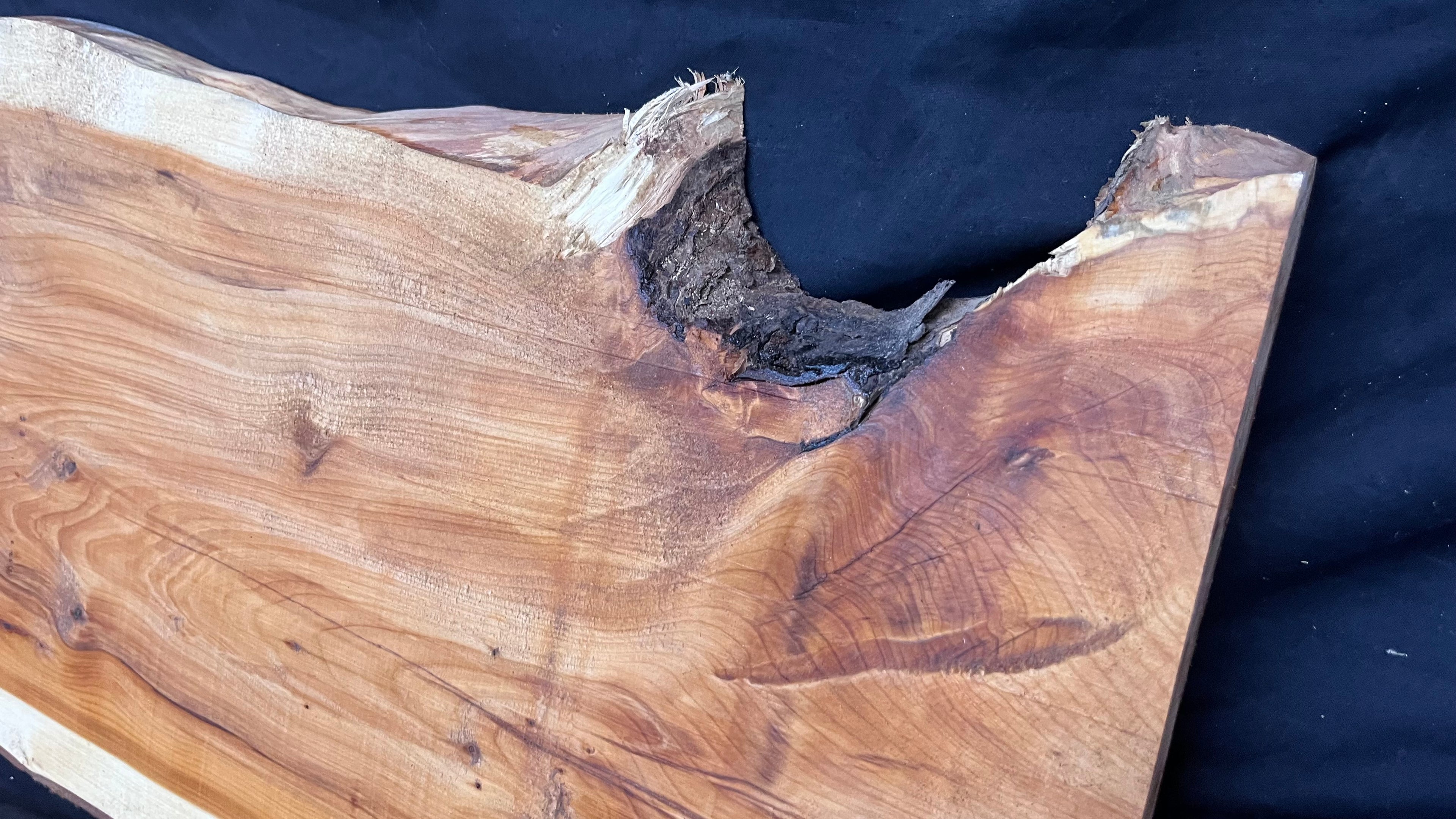 Hardwood yew, slab, board plank  688 L x 330 W x 31 D mm    (404)