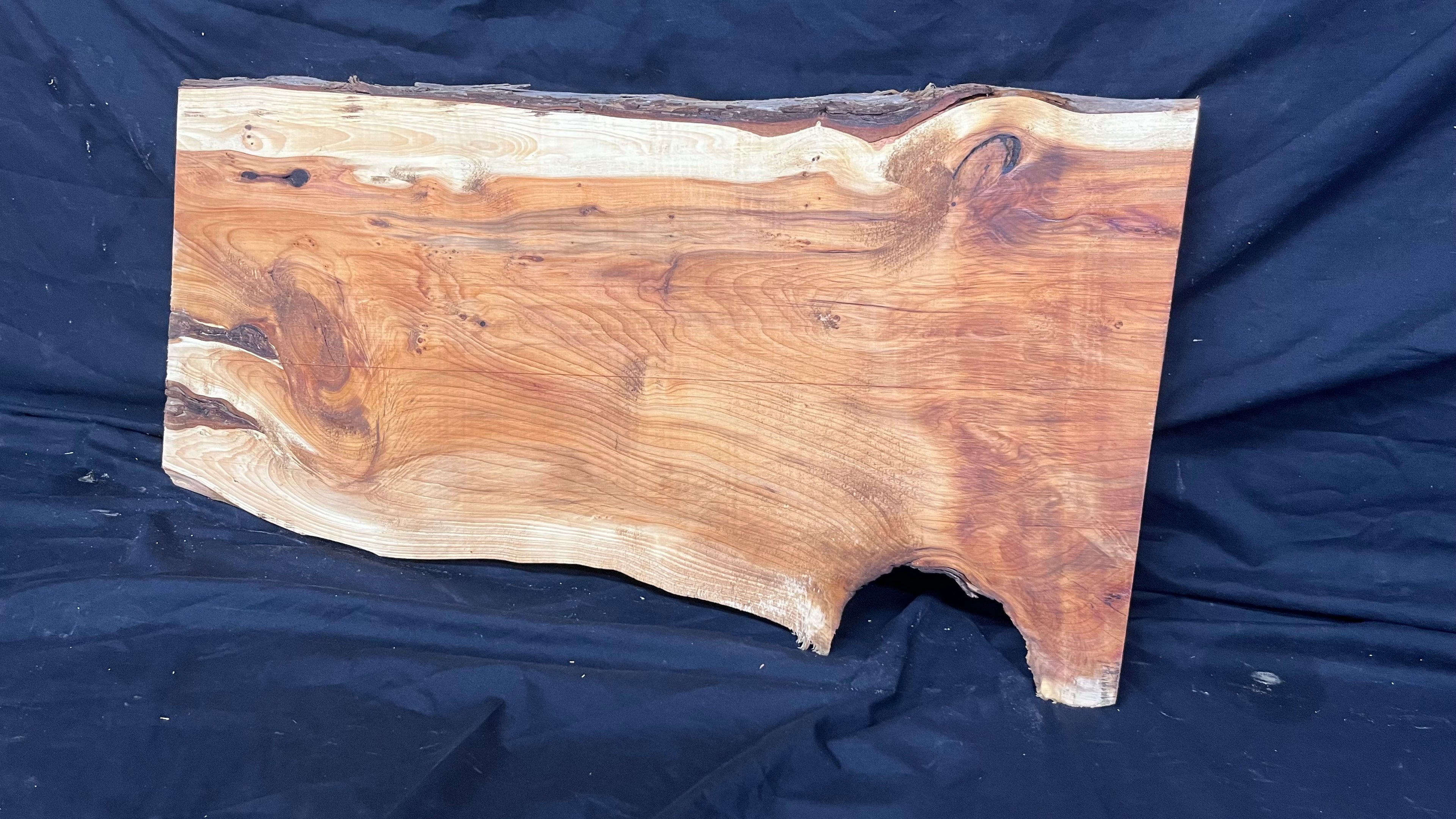 Hardwood yew, slab, board plank  688 L x 330 W x 31 D mm    (404)