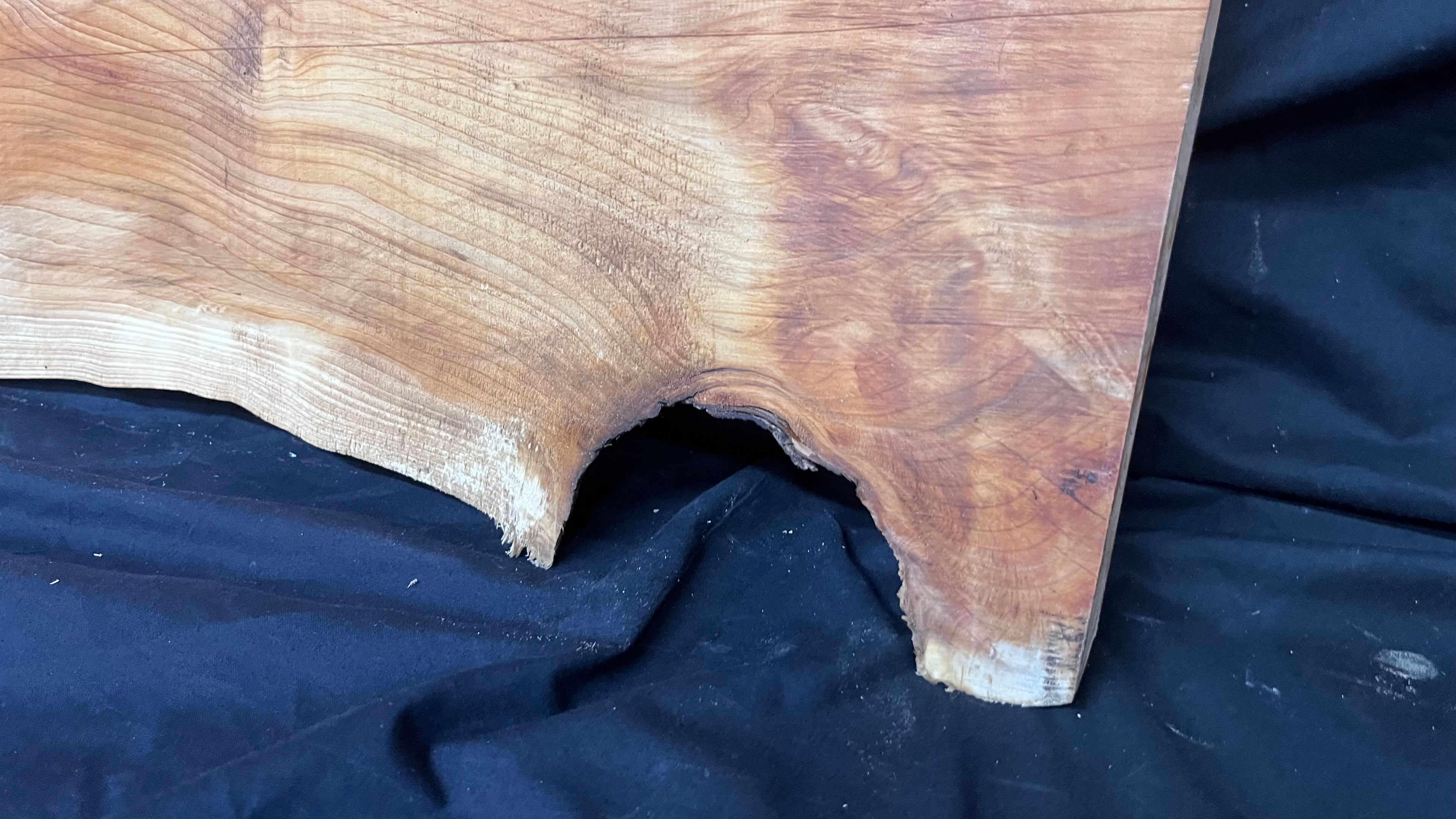 Hardwood yew, slab, board plank  688 L x 330 W x 31 D mm    (404)