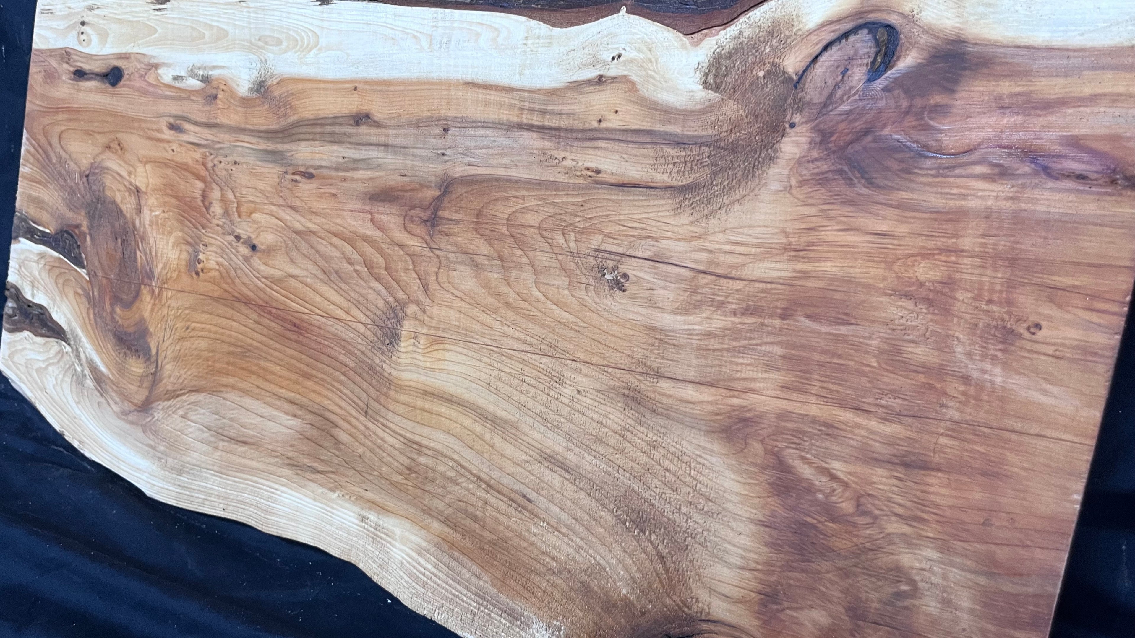 Hardwood yew, slab, board plank  688 L x 330 W x 31 D mm    (404)