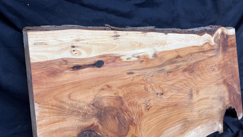 Hardwood yew, slab, board plank  688 L x 330 W x 31 D mm    (404)