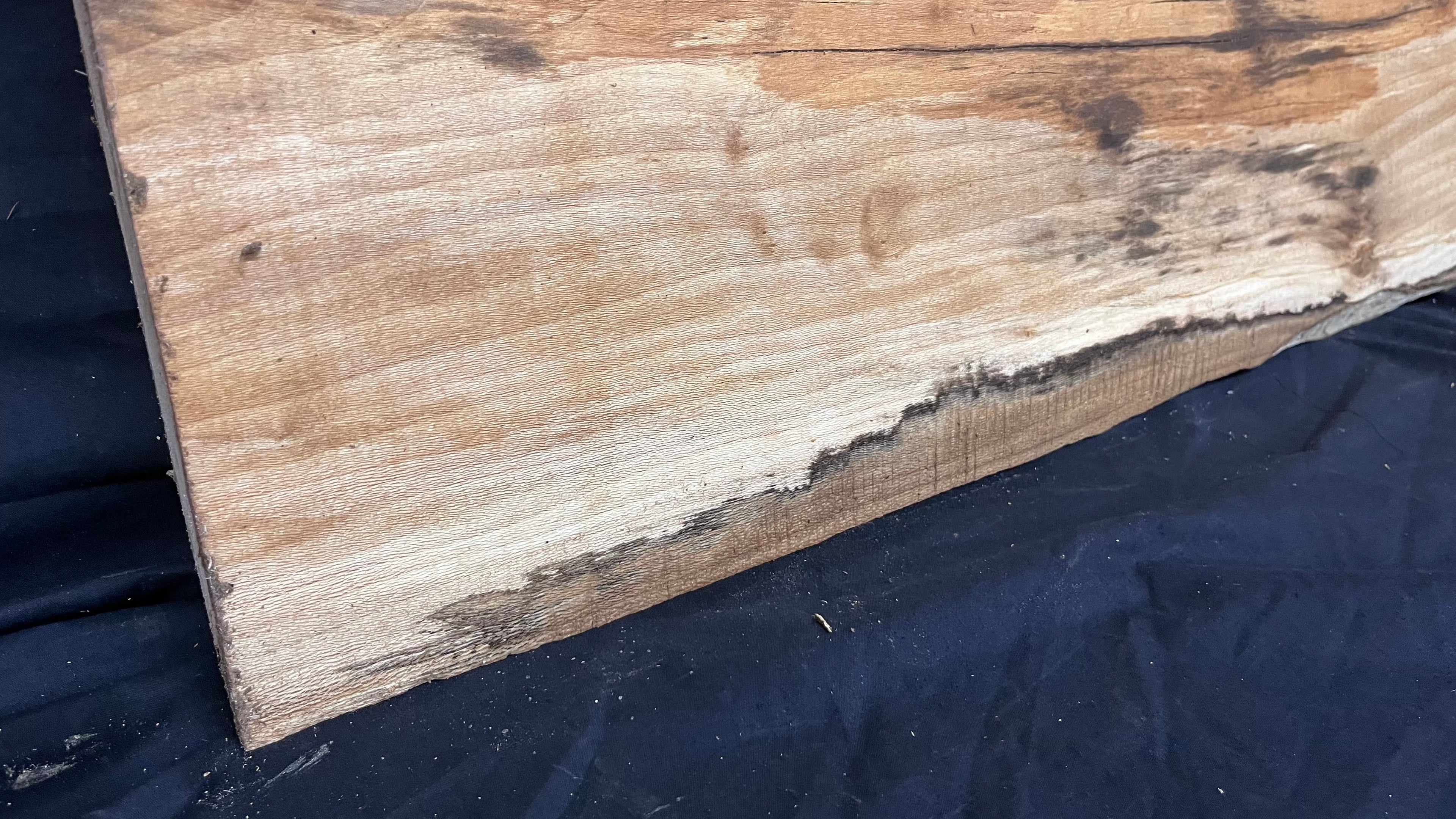 London Plane Mantle 788 L x 394 W x 63 D mm       (405)