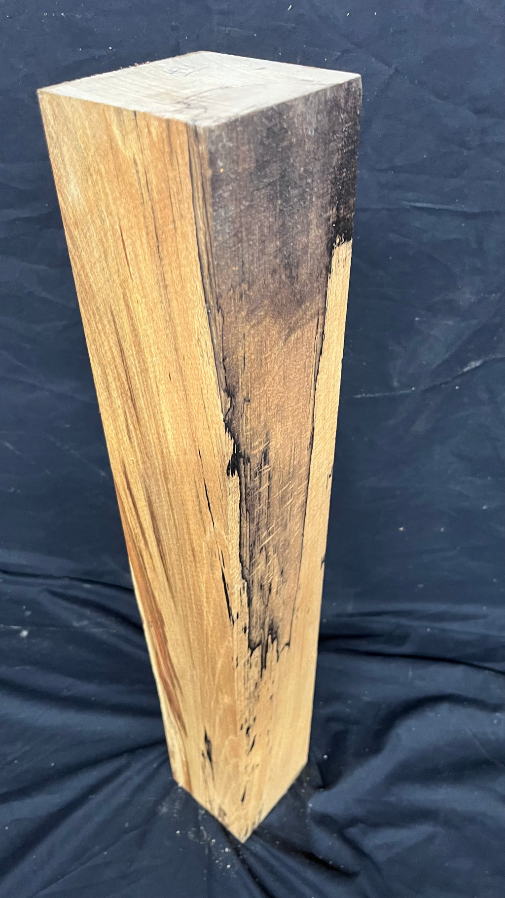 Spalted beech 597 x 93 mm A Grade Wood Turning Blank (411)
