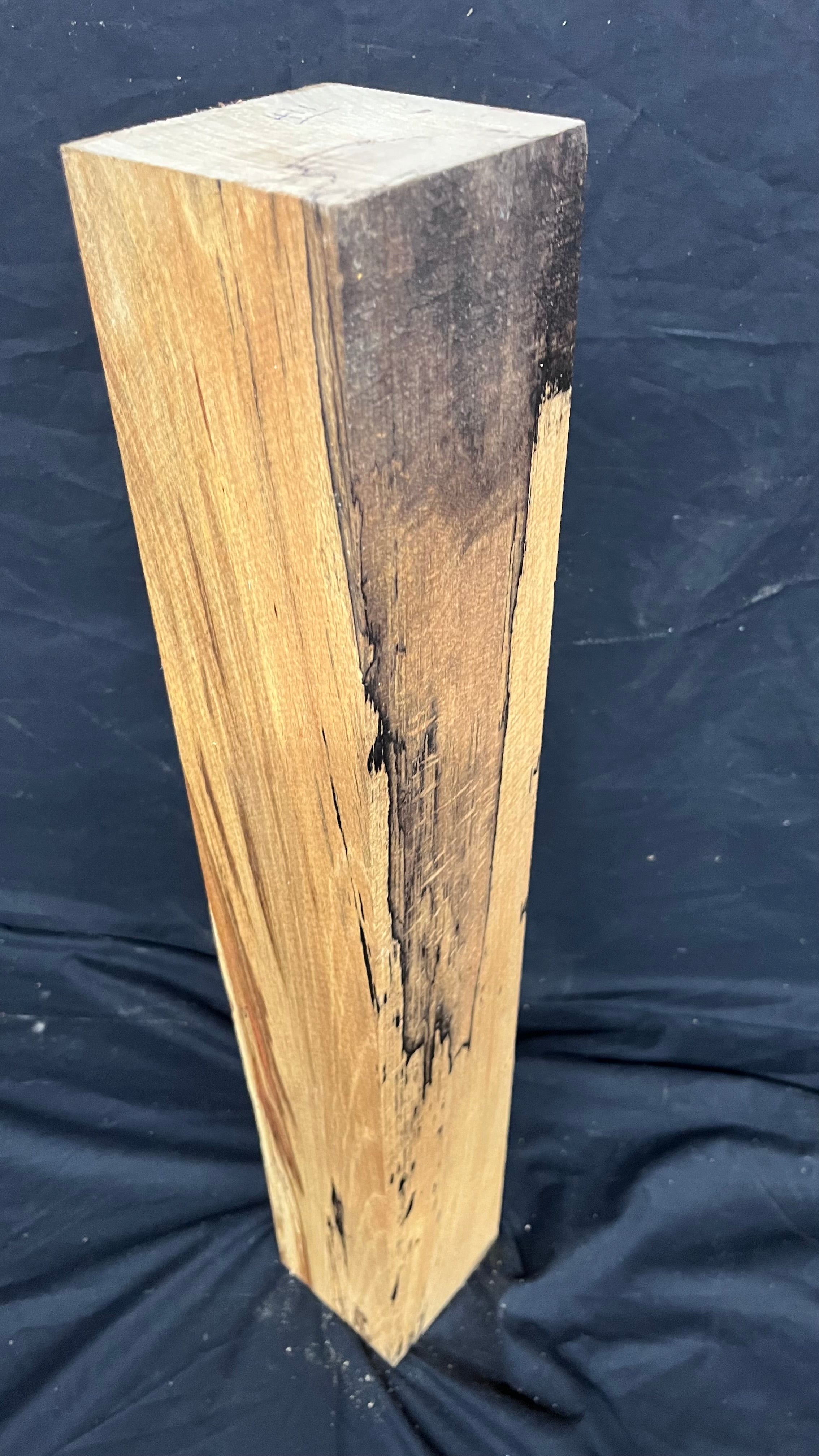 Spalted beech 597 x 93 mm A Grade Wood Turning Blank (411)