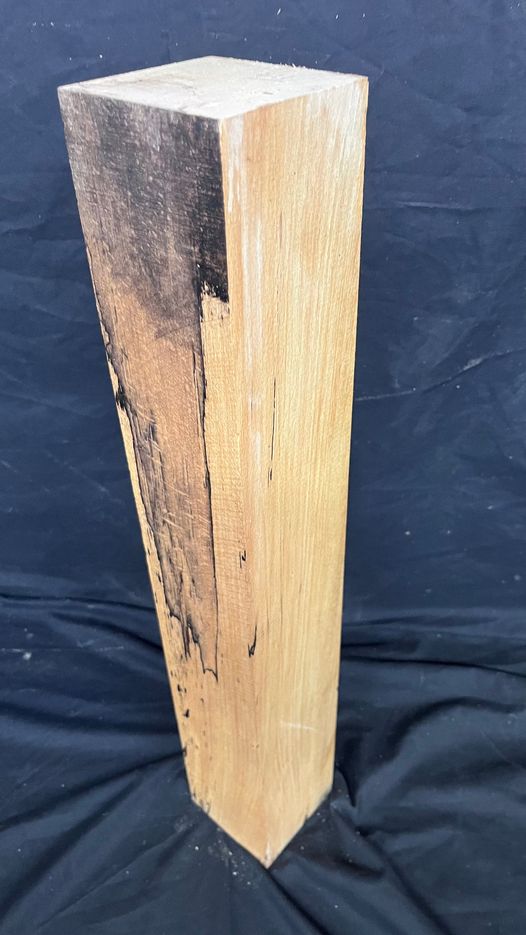 Spalted beech 597 x 93 mm A Grade Wood Turning Blank (411)