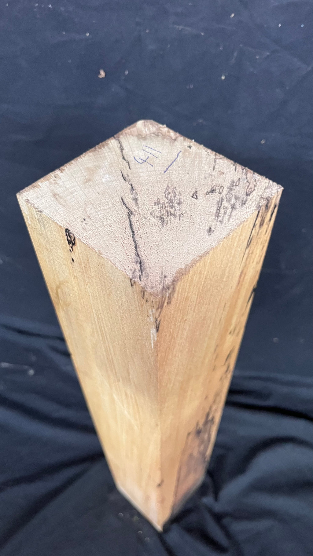Spalted beech 597 x 93 mm A Grade Wood Turning Blank (411)