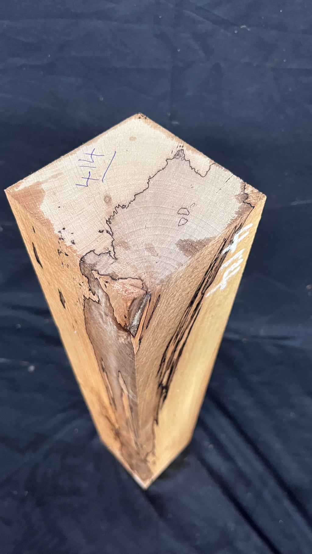 Spalted beech 519 x 93 mm C Grade Wood Turning Blank (414)