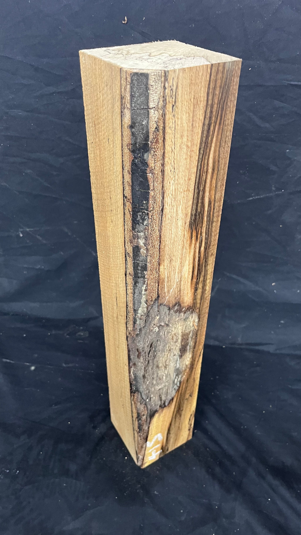Spalted beech 542 x 93 mm A Grade Wood Turning Blank (415)