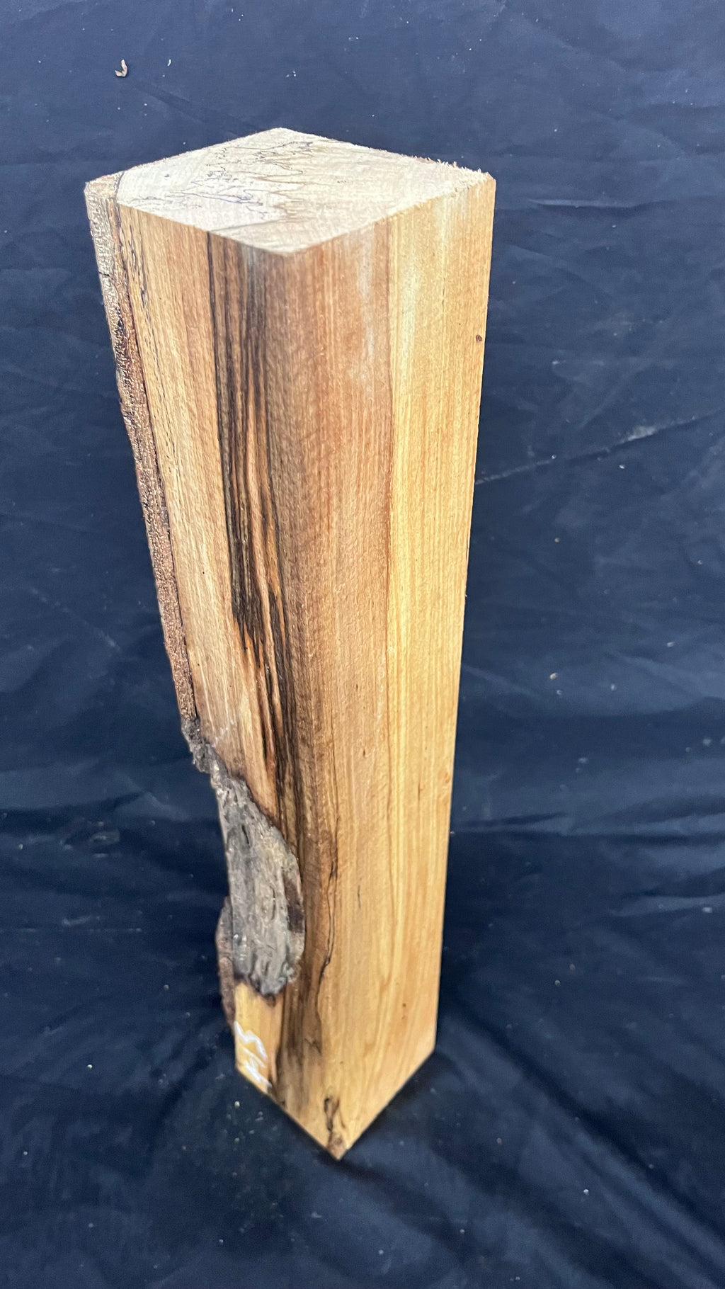 Spalted beech 542 x 93 mm A Grade Wood Turning Blank (415)