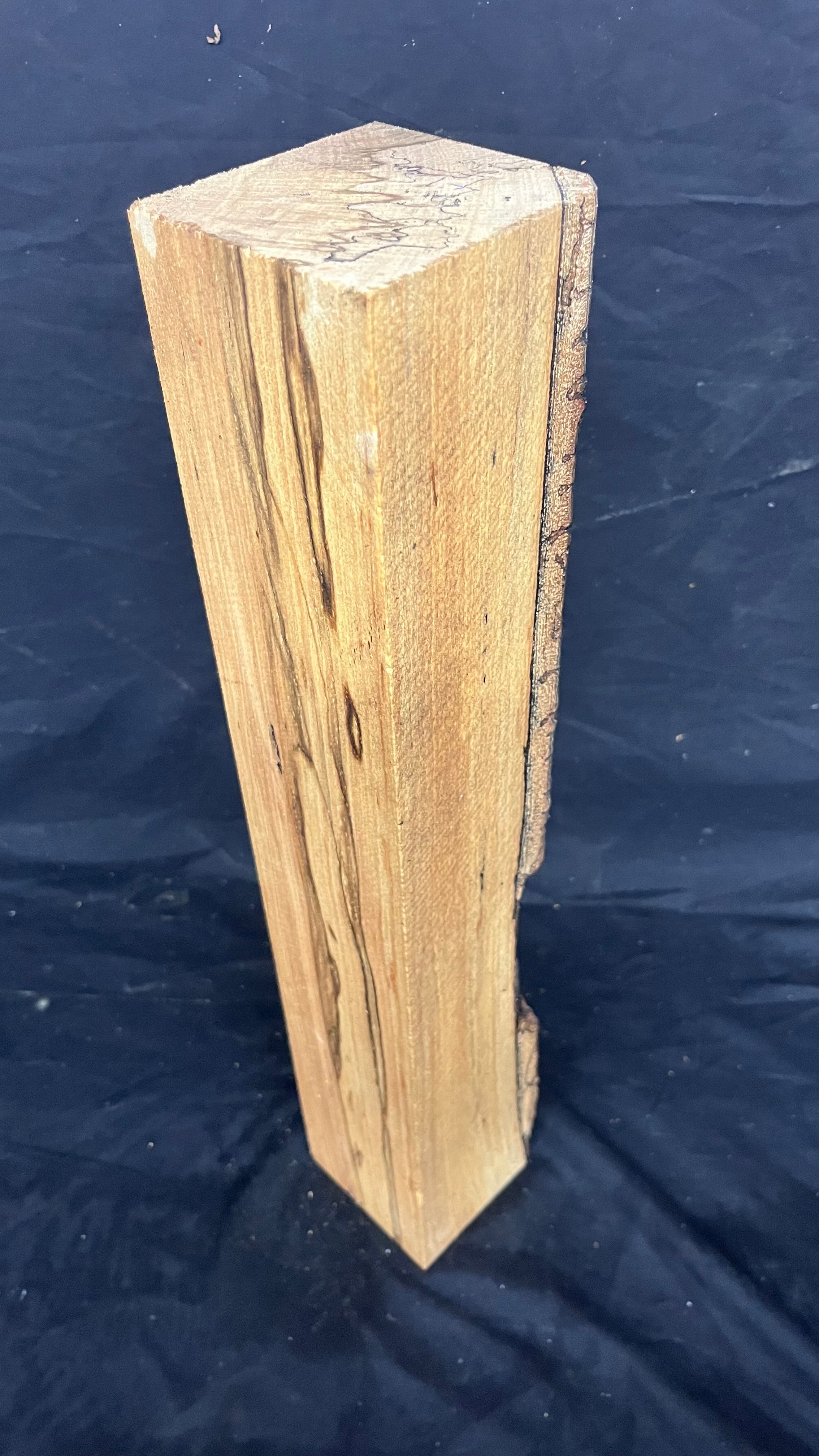 Spalted beech 542 x 93 mm A Grade Wood Turning Blank (415)