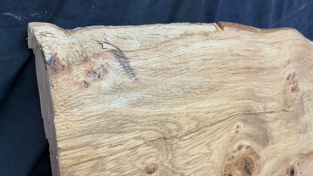 Pippy oak craft wood, 556 L x 330 W x 44 D (mm)    (421)