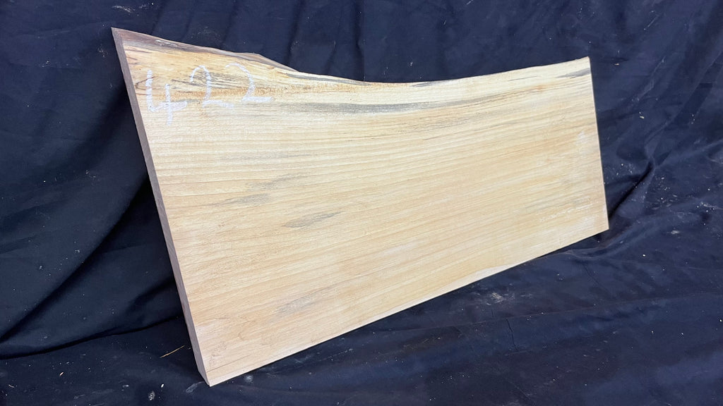 Lime Wood shelving, plank  573 L x 333 W x 45 D mm (422)