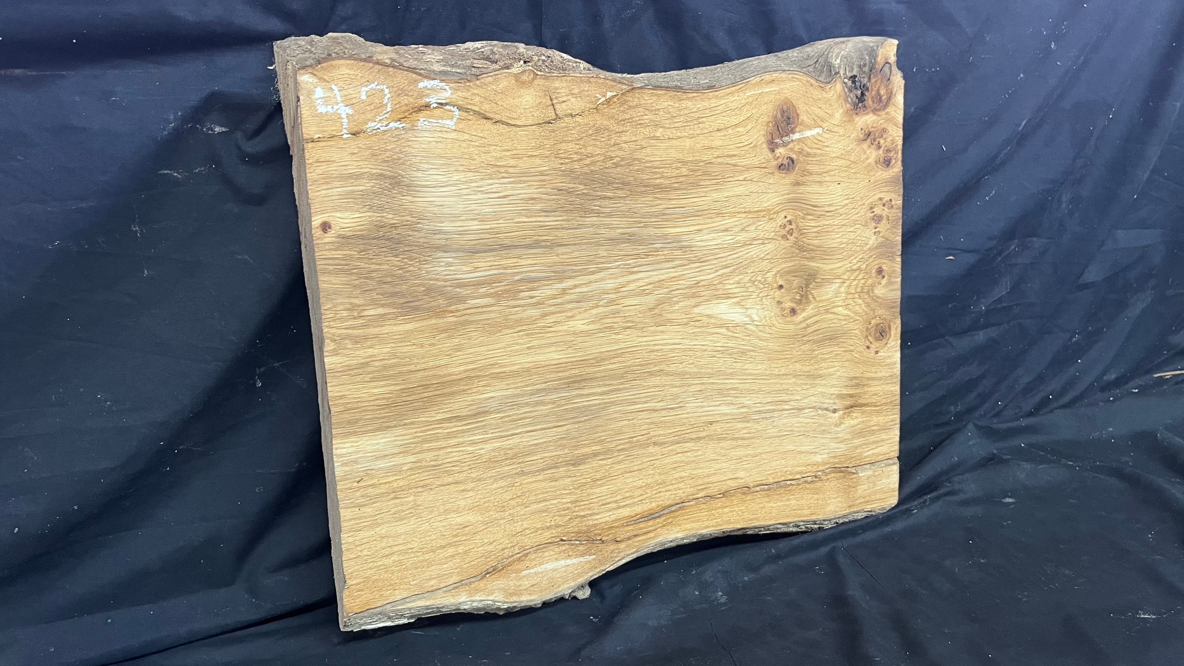 Pippy oak craft wood, 495 L x 426 W x 38 D mm    (423)