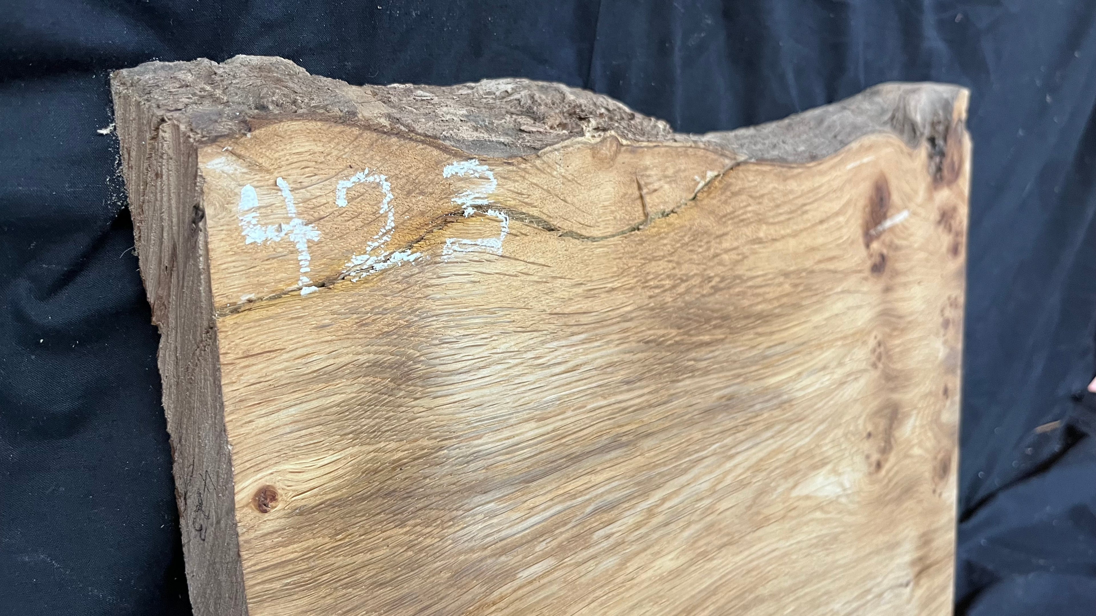 Pippy oak craft wood, 495 L x 426 W x 38 D mm    (423)