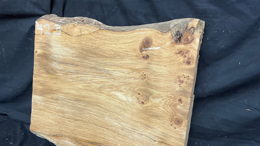 Pippy oak craft wood, 495 L x 426 W x 38 D mm    (423)