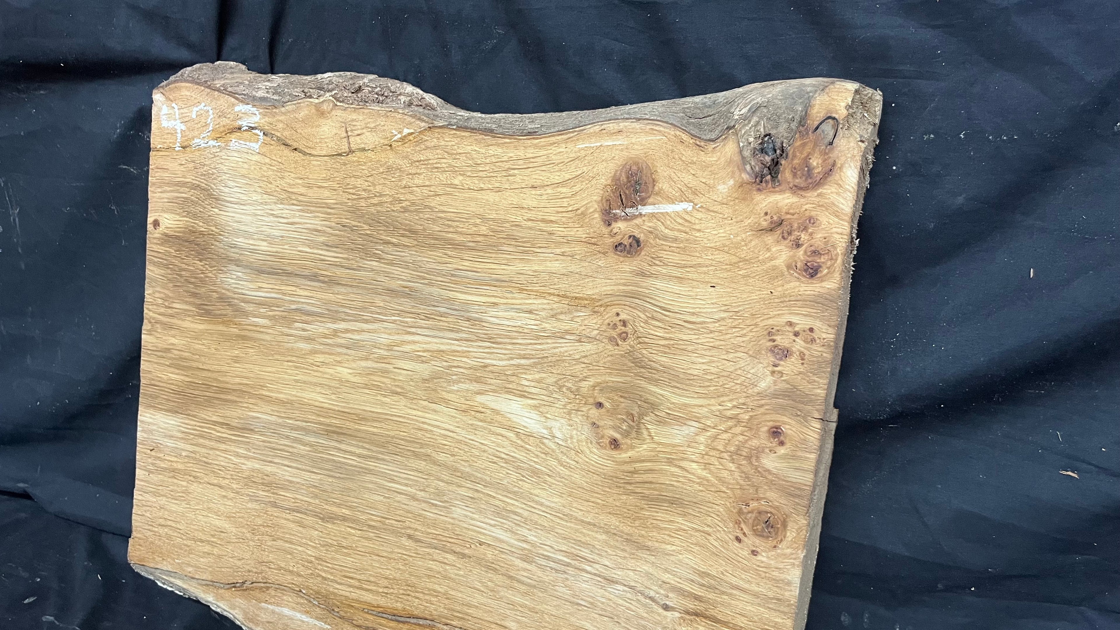 Pippy oak craft wood, 495 L x 426 W x 38 D mm    (423)