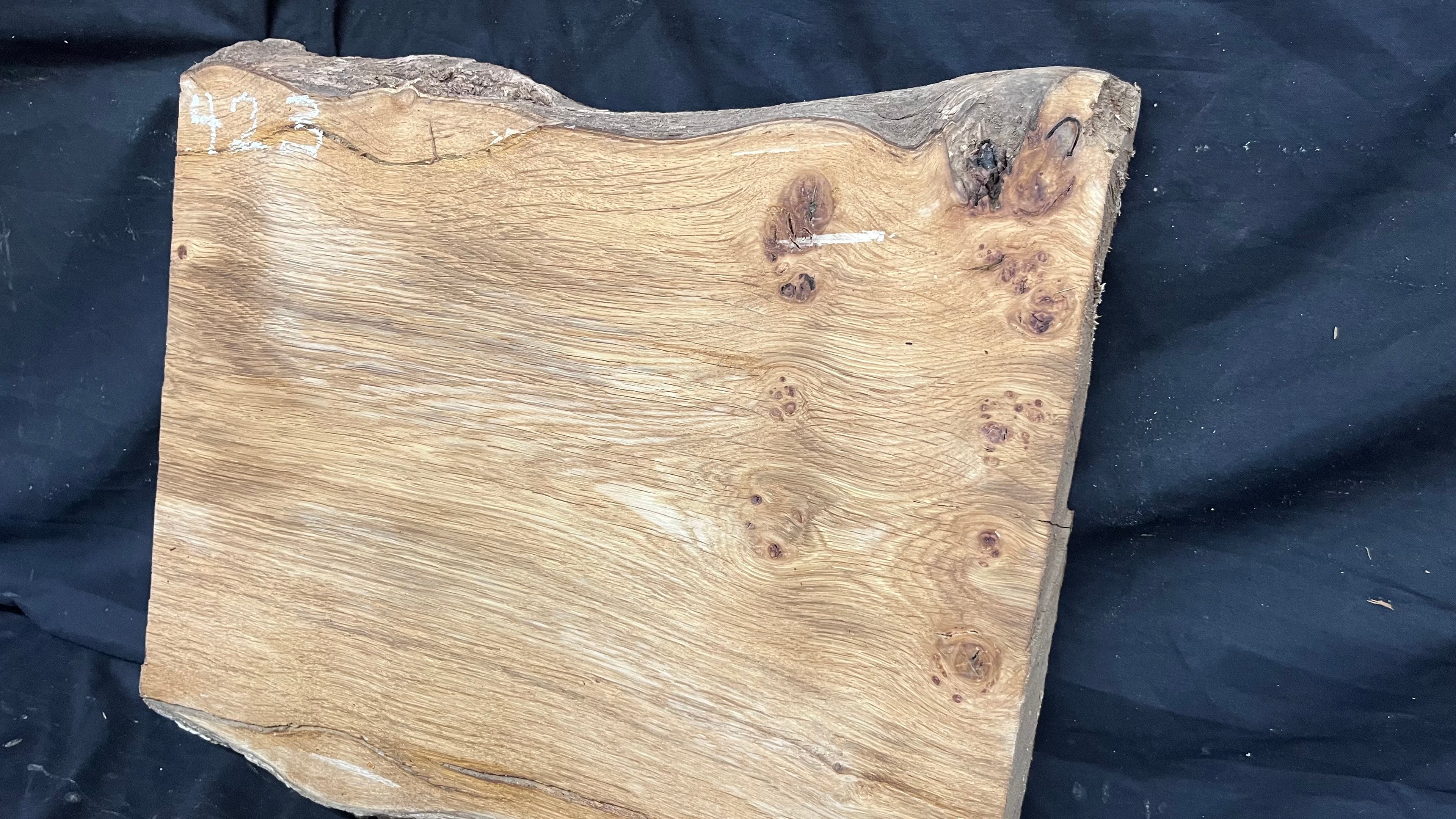 Pippy oak craft wood, 495 L x 426 W x 38 D mm    (423)