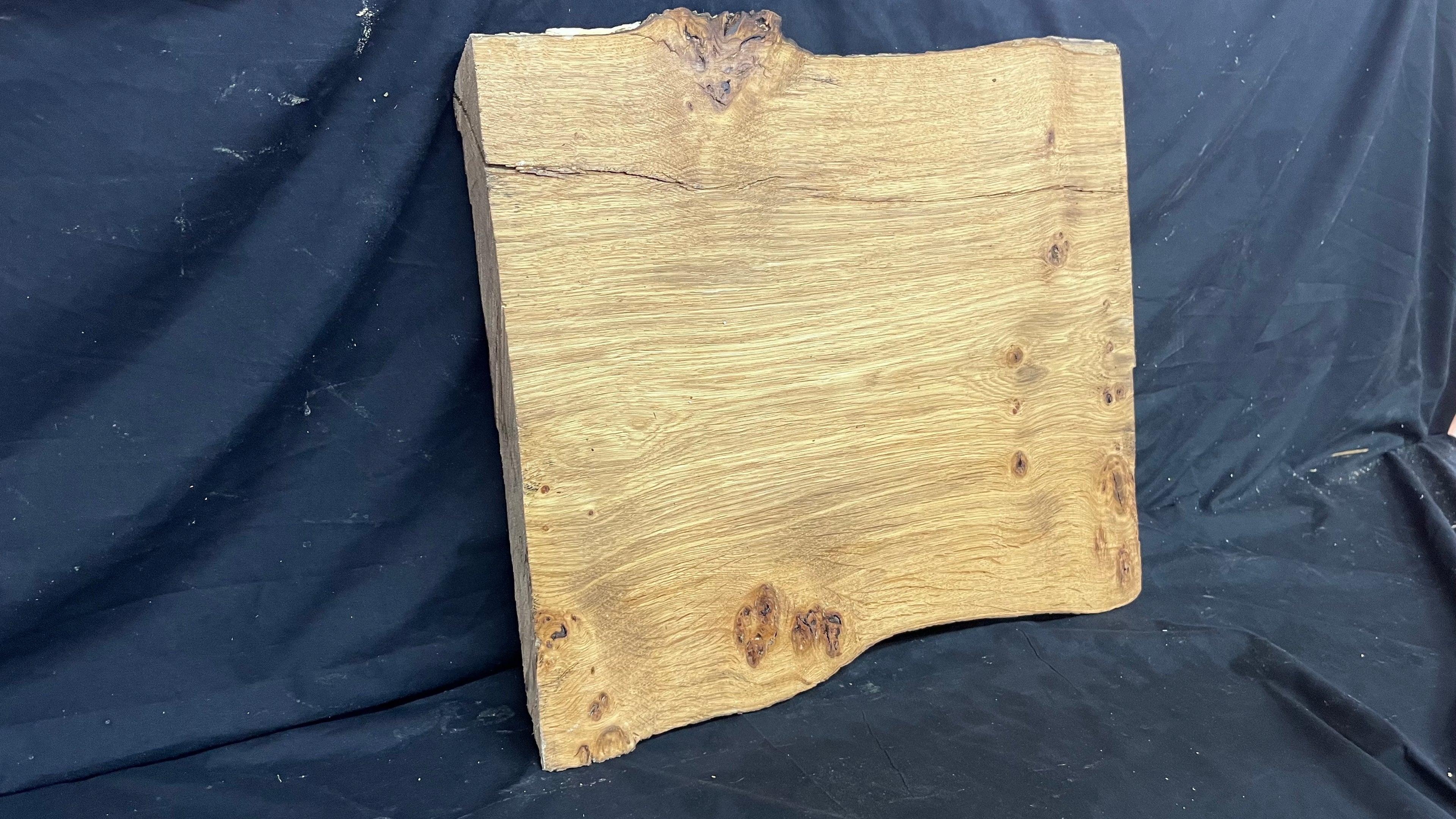Pippy oak craft wood, 495 L x 426 W x 38 D mm    (423)