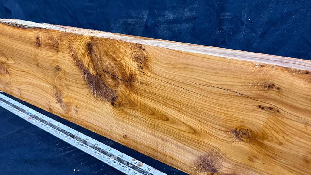 Yew, resin project, slab, board, block 975 L x 168 W x 43 D mm    (417mt)
