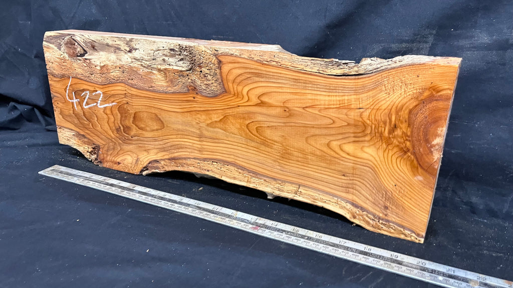 Yew, resin project, slab, board, block 533 L x 184 W x 60 D mm    (422mt)