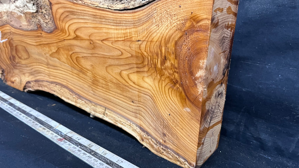 Yew, resin project, slab, board, block 533 L x 184 W x 60 D mm    (422mt)