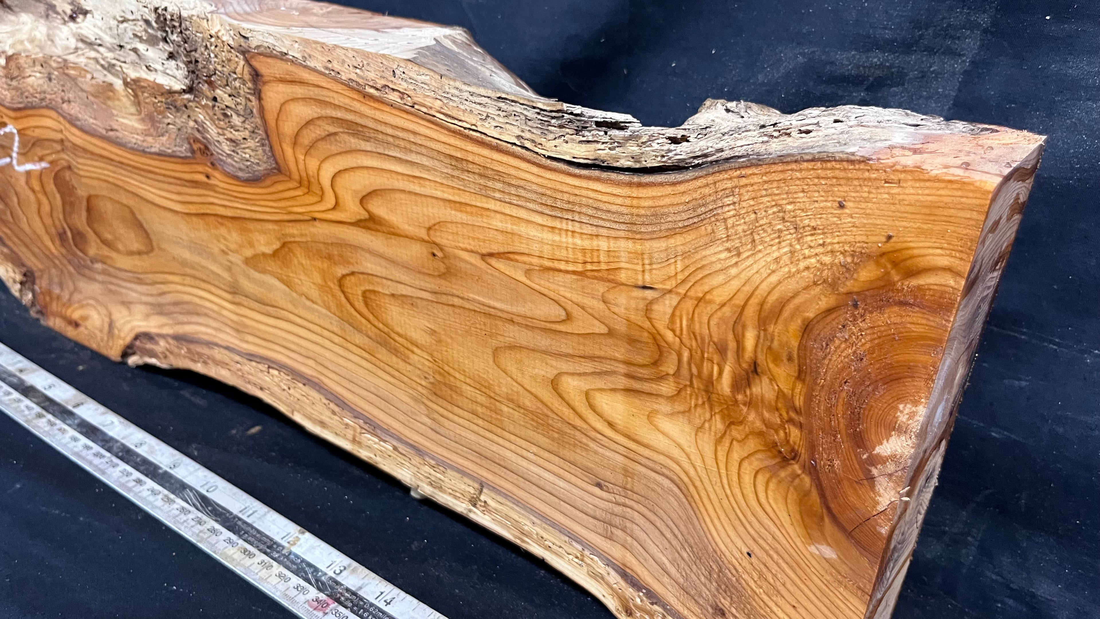 Yew, resin project, slab, board, block 533 L x 184 W x 60 D mm    (422mt)