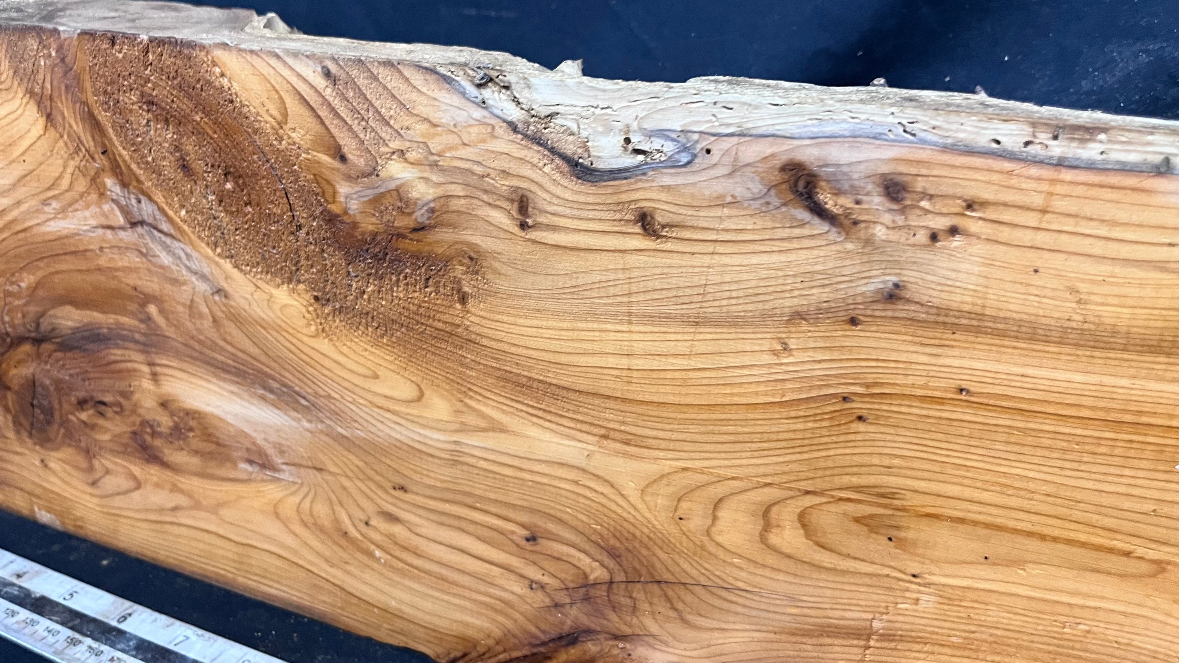 Yew, resin project, slab, board, block 533 L x 184 W x 60 D mm    (422mt)
